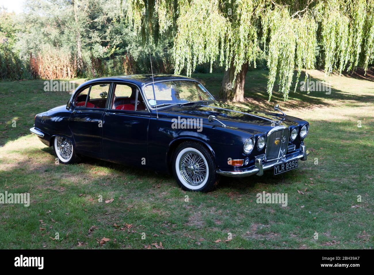 Dreiviertel Vorderansicht eines 1968, dunkelblau, Jaguar 420, Display am Quay, während des Sandwich Festival 2019 Stockfoto