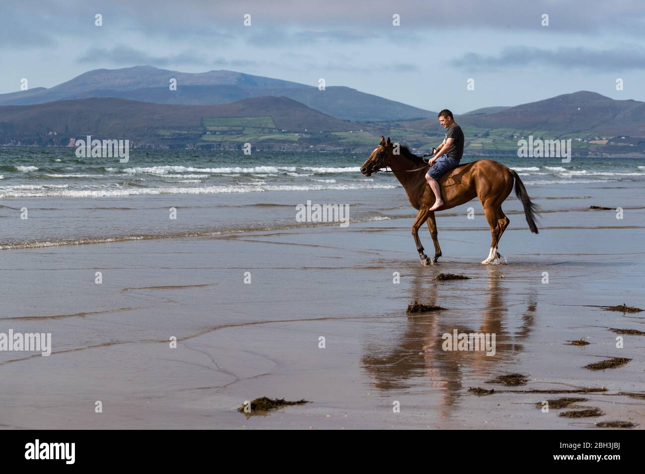 Reiten am rossbeigh Beach in der Grafschaft Kerry, landschaftlich schöne Aussicht auf die Dingle Halbinsel in der Ferne Stockfoto