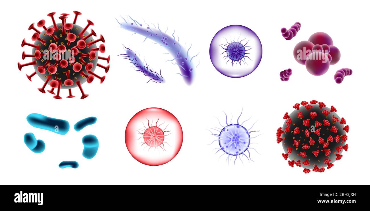 Set von mikroskopischen 3d Bakterien und Viren. Mikrobiologie Vektor Bakterium und Bifidobacterium Keim isoliert. Abbildung des medizinischen Virus-Moleküls Stock Vektor