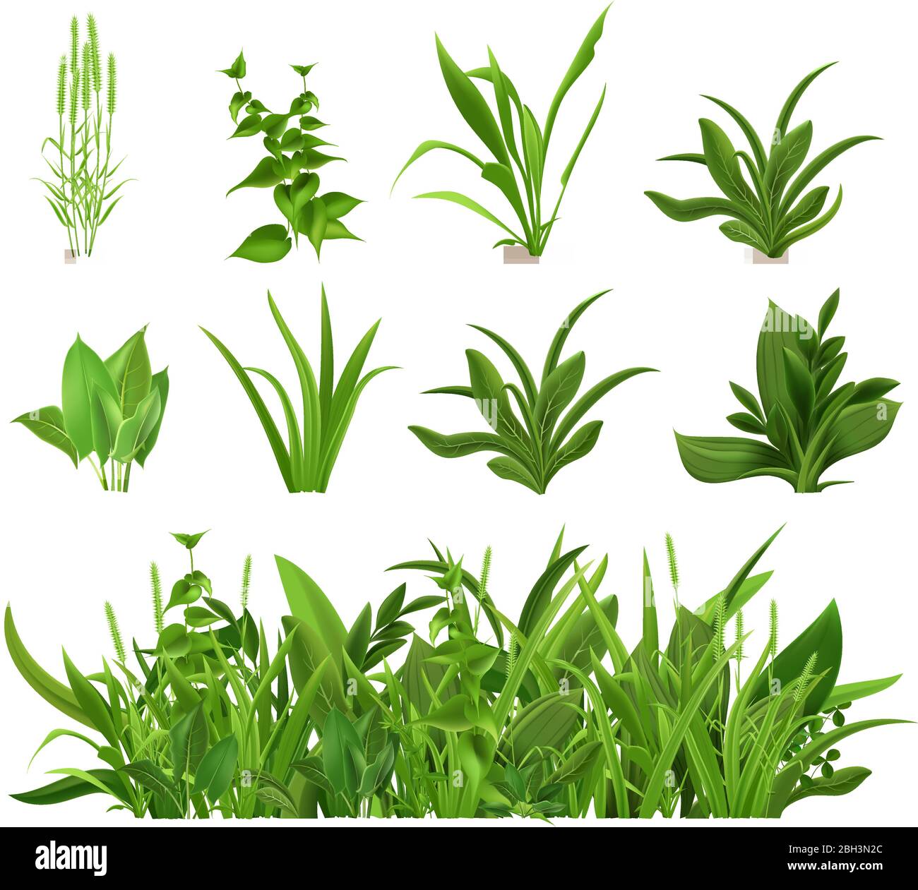 Grün realistische Frühjahr Gras. Frische Pflanzen, Garten saisonales Wachstum Gras, botanische Grüns, Kräuter und Blätter Vektor isoliert Symbole gesetzt. Naturrasen m Stock Vektor