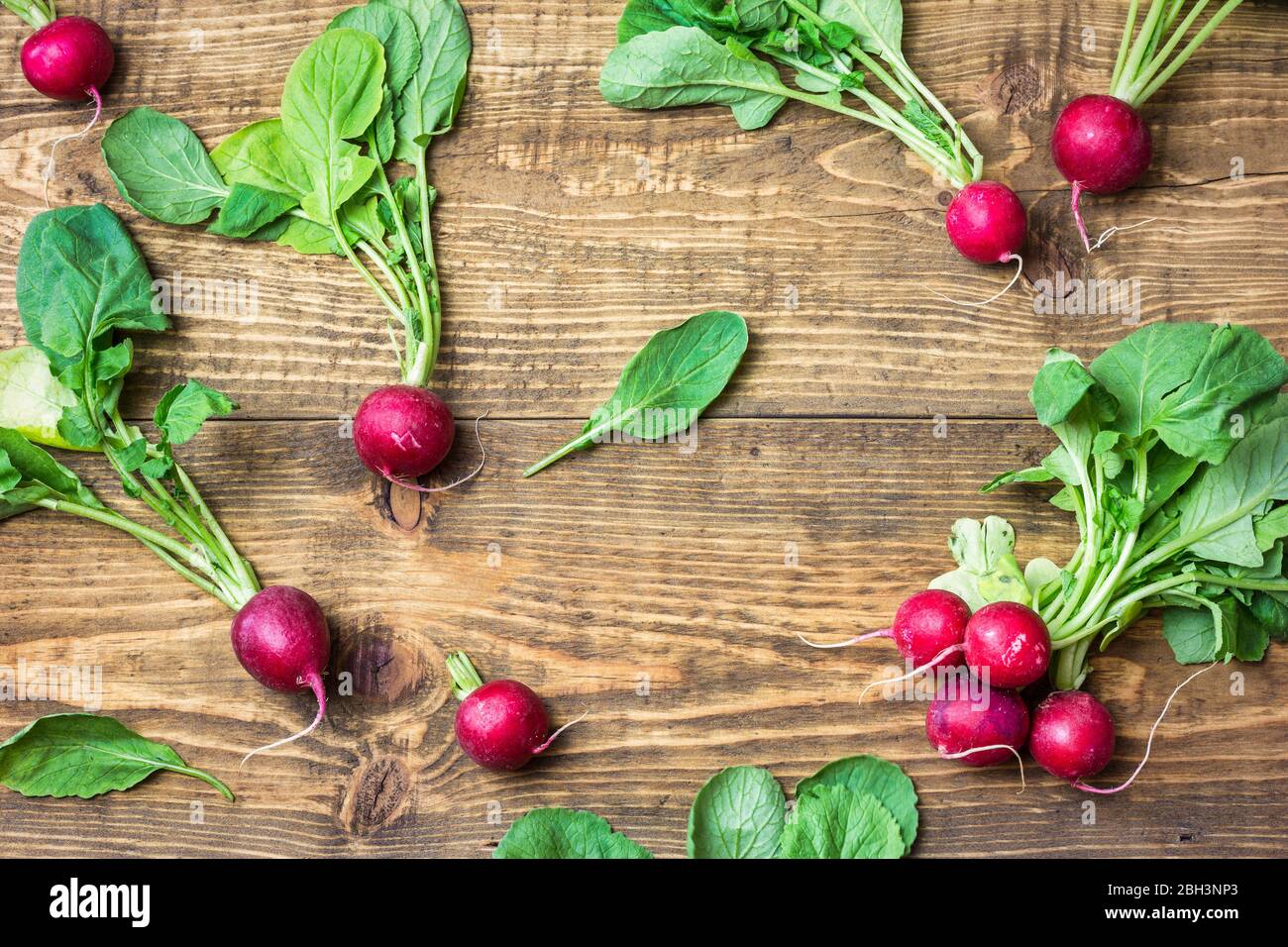 Frische Bio-rote Radieschen mit grünen Blättern auf rustikalem Holzhintergrund. Draufsicht mit Kopierbereich. Gesundes Ernährungskonzept. Stockfoto
