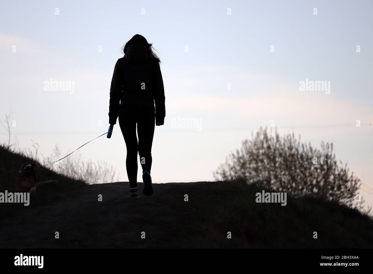 Silhouette eines Mädchens, das einen Hund an der Leine auf einem Hügel läuft. Pflege für ein Haustier während der Coronavirus-Pandemie, Frühlingswetter Stockfoto