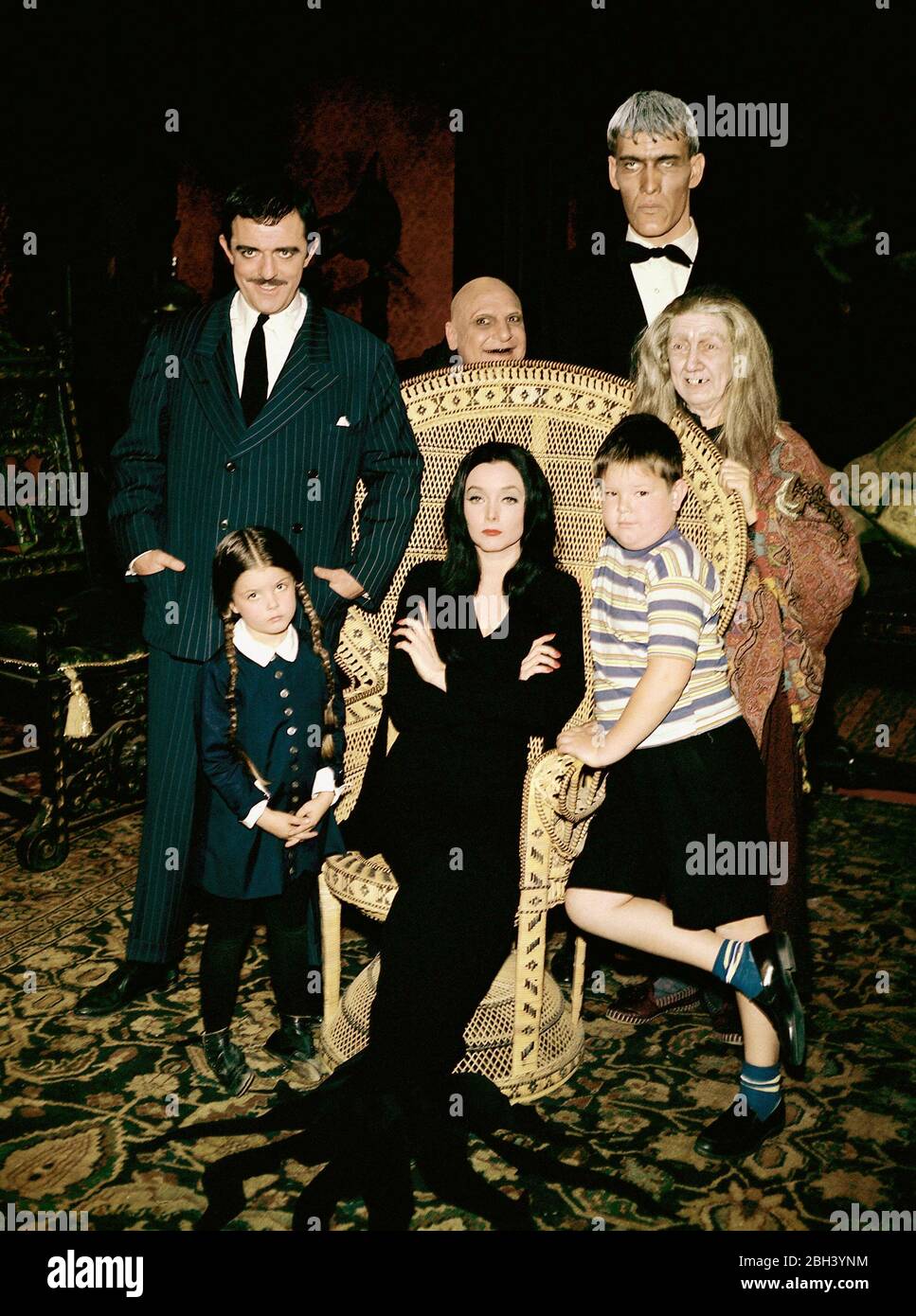 Carolyn Jones, John Astin und Besetzung von 'The Addams Family' um 1964 Aktenzeichen # 33962-608THA Stockfoto