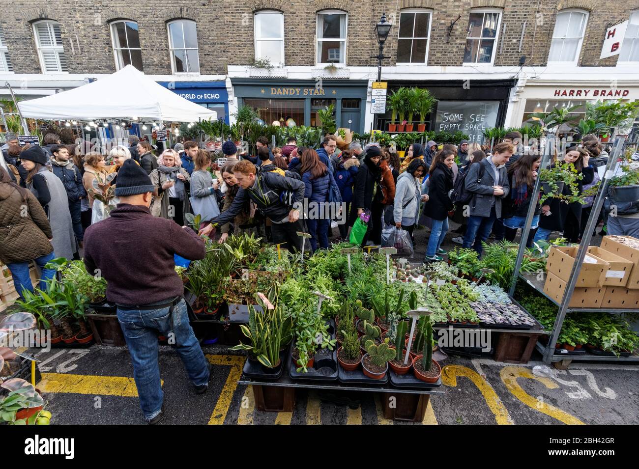 Columbia Road Flower Market, London England Vereinigtes Königreich Großbritannien Stockfoto