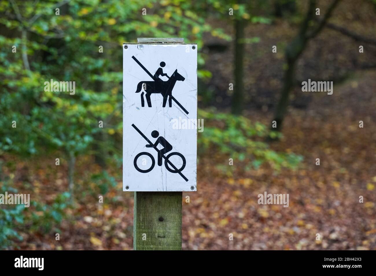 Kein Fahrrad fahren, kein Pferd Wegweiser in Epping Forest, Essex, England, Vereinigtes Königreich Großbritannien Stockfoto