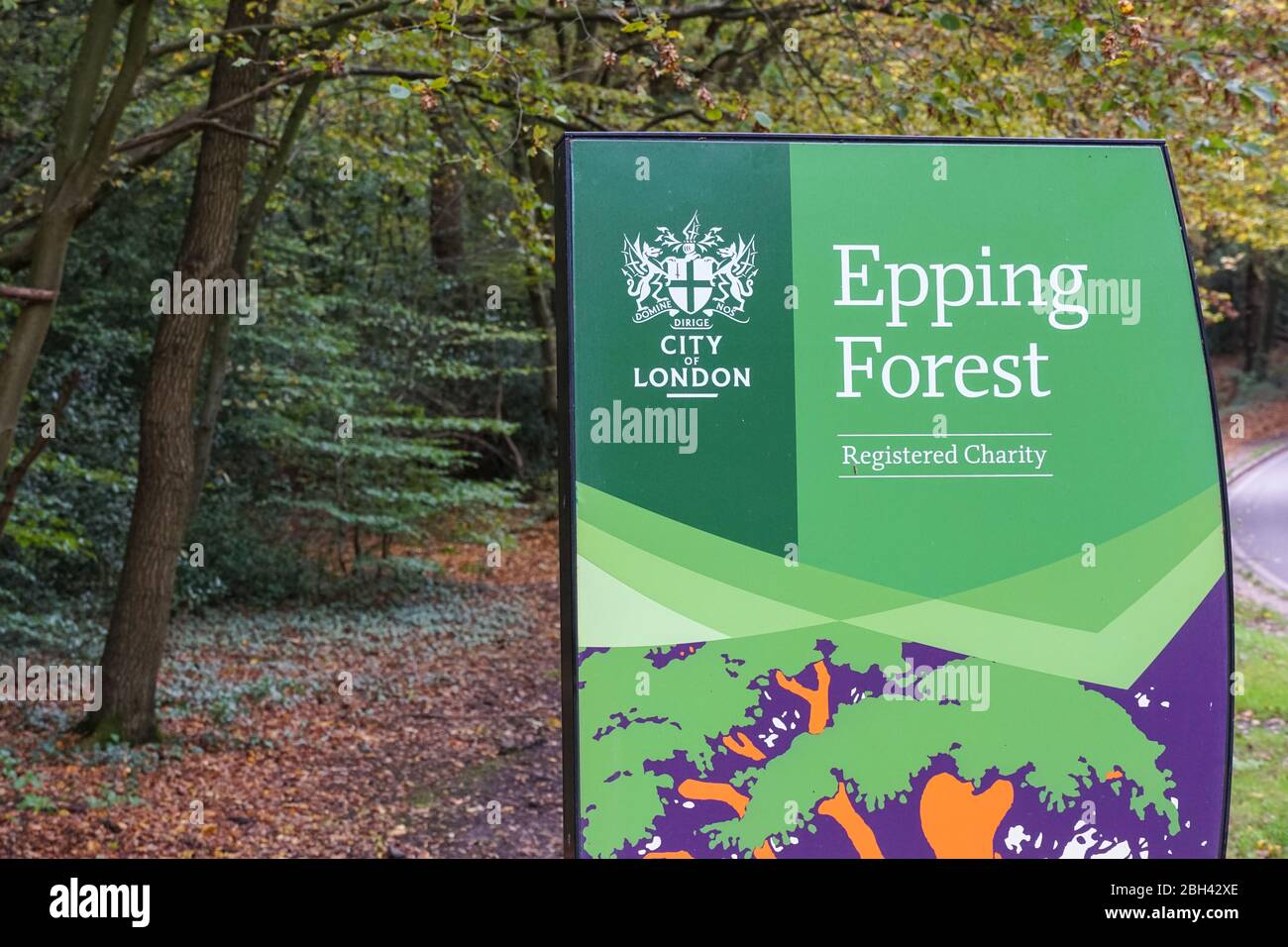 Anmelden Epping Forest, Essex, England, Vereinigtes Königreich Großbritannien Stockfoto