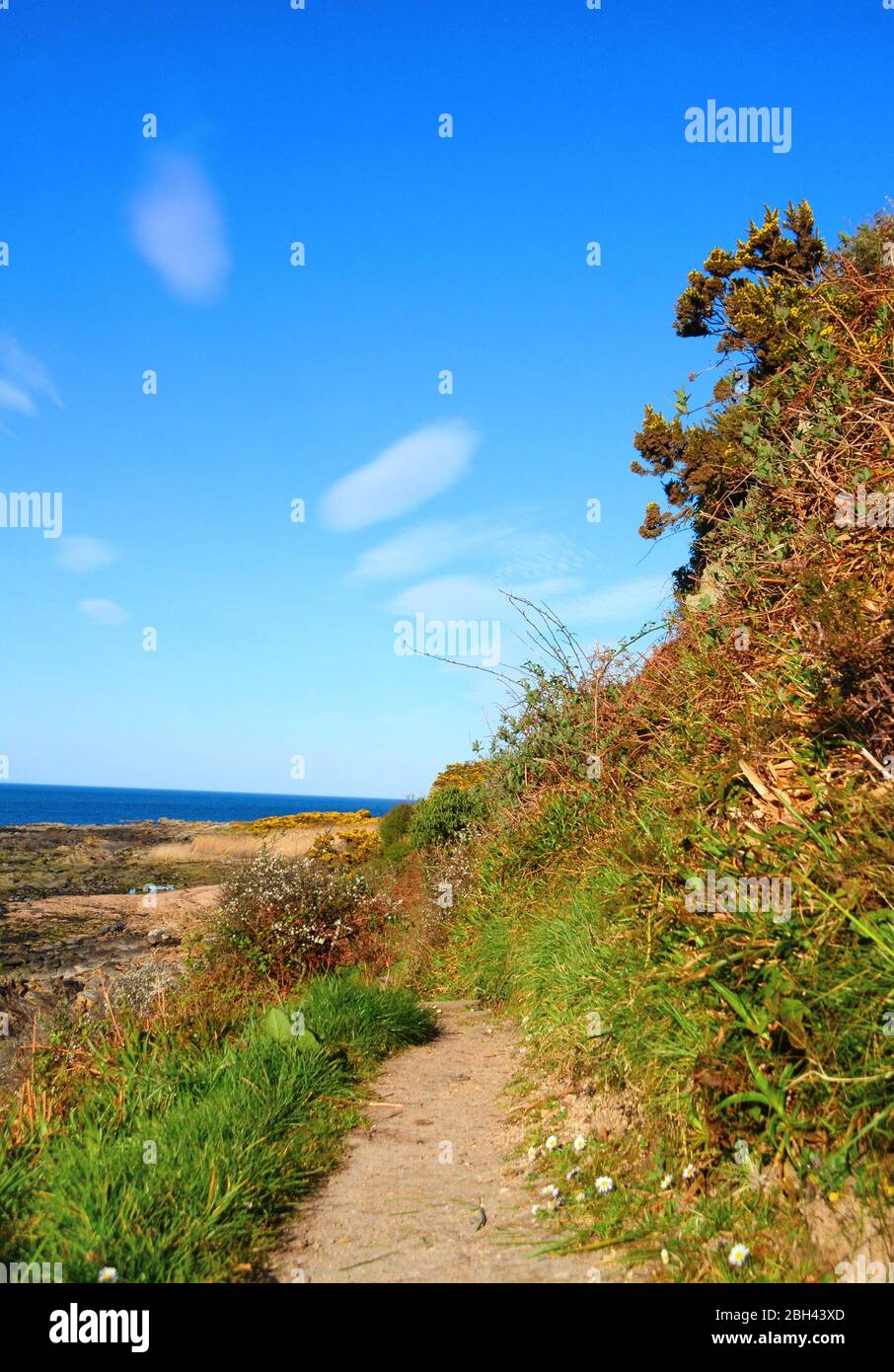 Stsretch des fünf Küstenweges zwischen St. Andrews und Kingsbarn Stockfoto