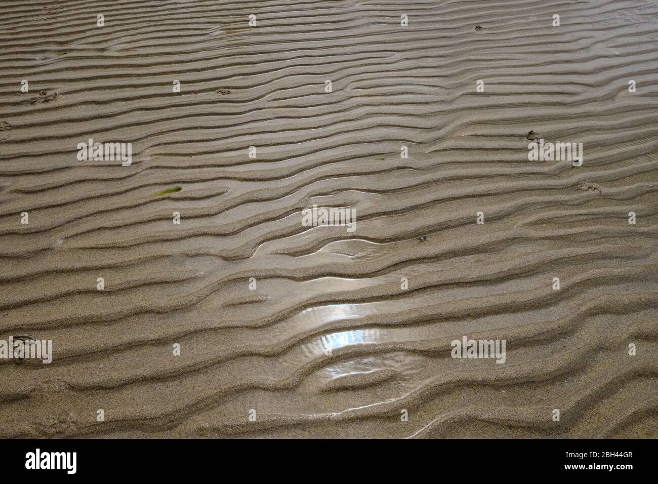 Das wellenförmige Muster von horizontalen Streifen, die während des Sonnenuntergangs vom Sand eines irischen Strandes gebildet werden, wird durch das grasende Licht hervorgehoben. Stockfoto