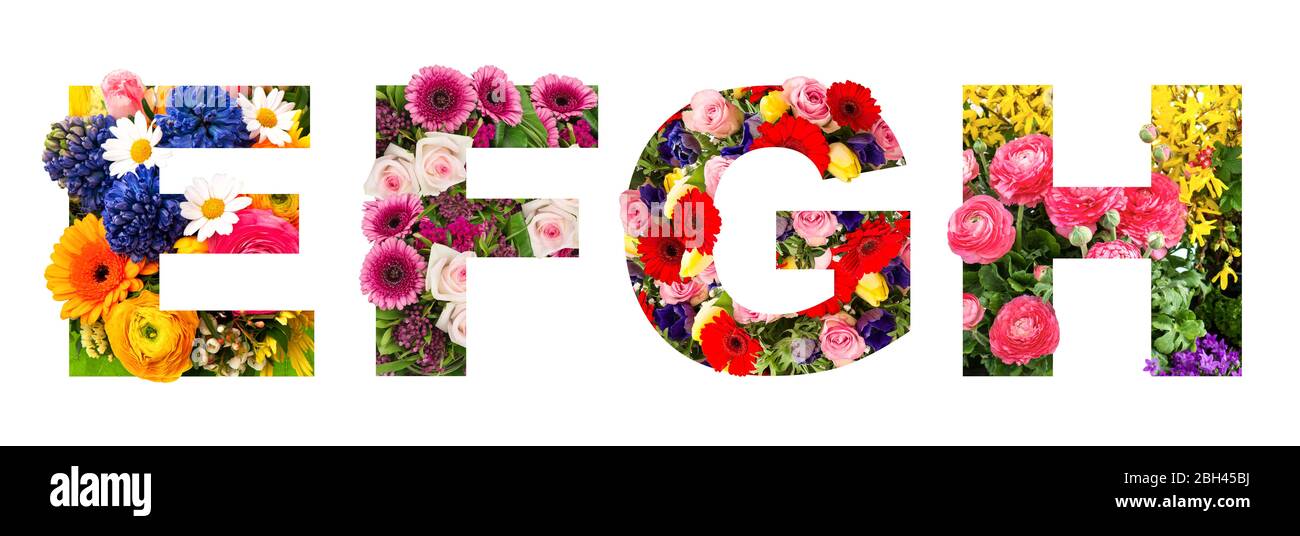 Floraler Schriftzug. Alphabet E, F, G, H von Blumenköpfen Bouquet isoliert auf weißem Hintergrund Stockfoto