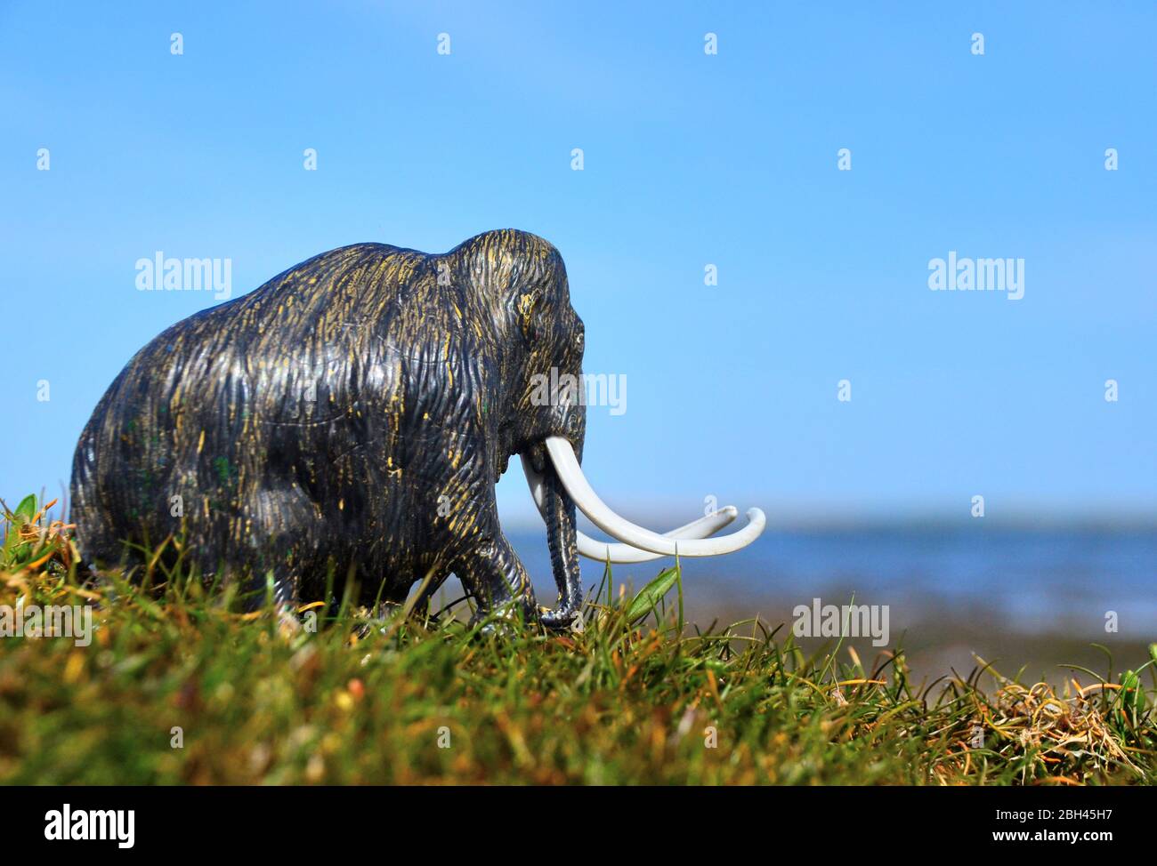 Replik wollige Mammoth in natürlicher Umgebung Stockfoto