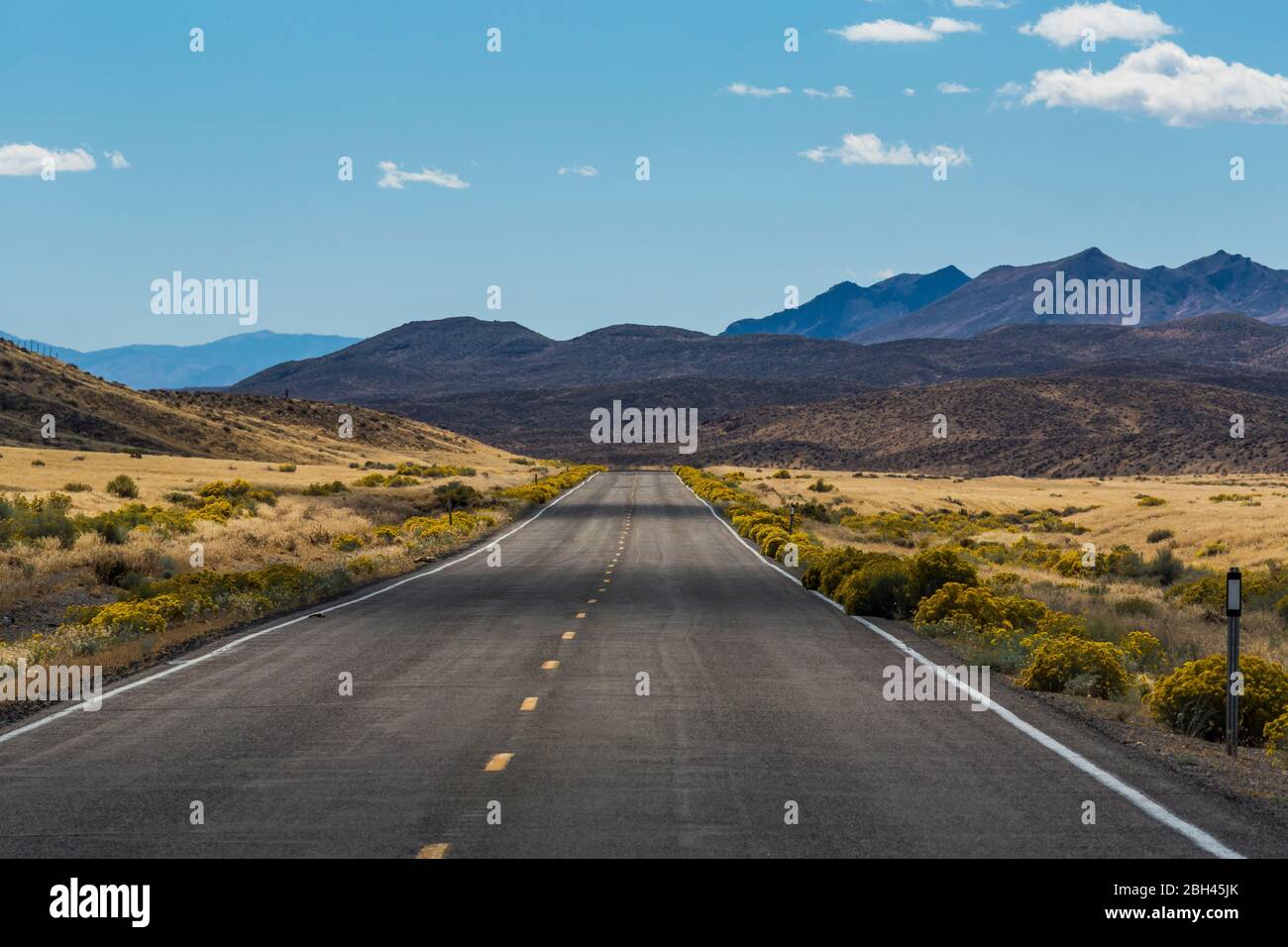 Einsame Straße zum Berlin-Ichthyosaur State Park, Nevada, USA Stockfoto