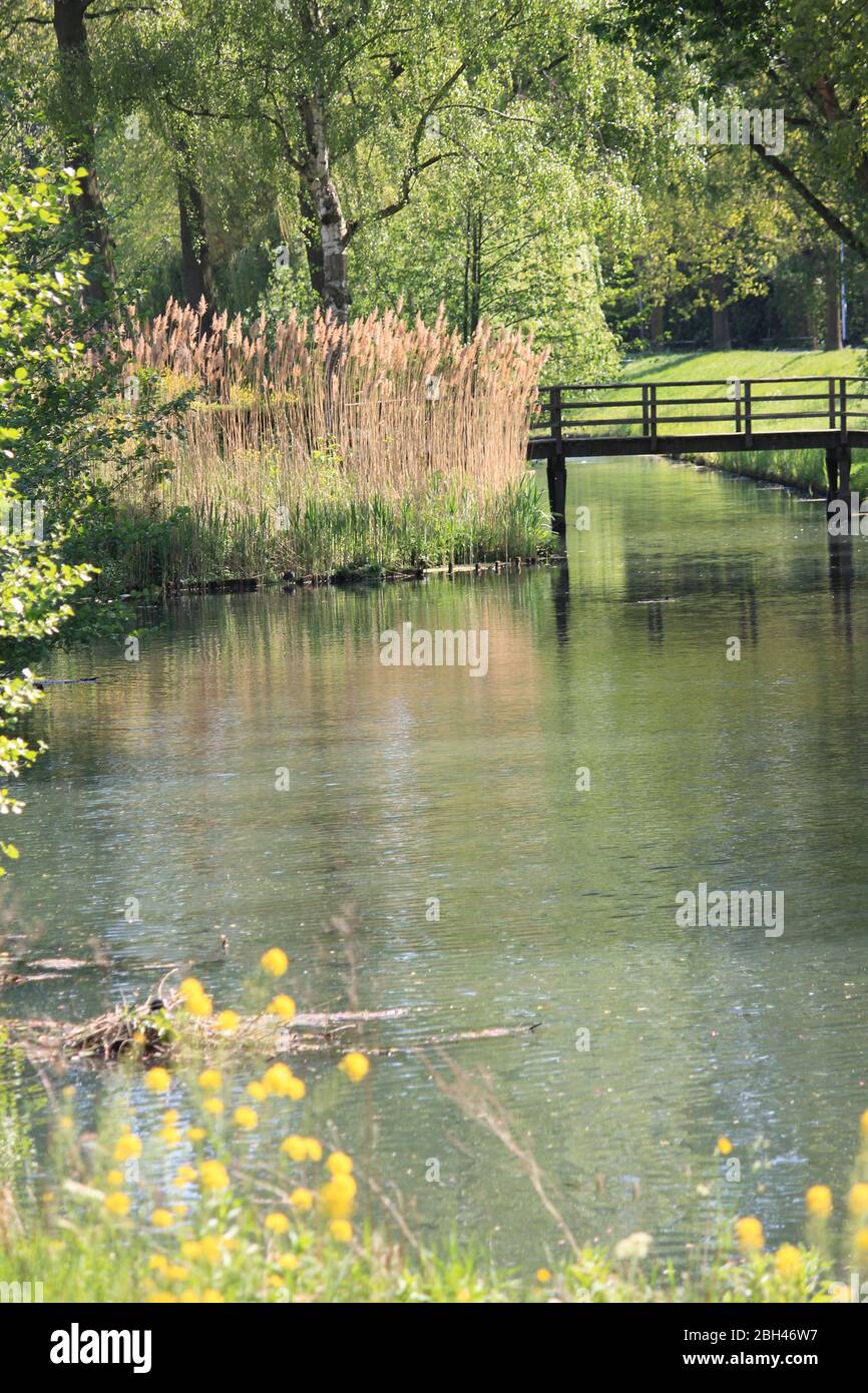 Die Flora und Fauna im Stadtpark Staddijk in Nijmegen, Niederlande Stockfoto