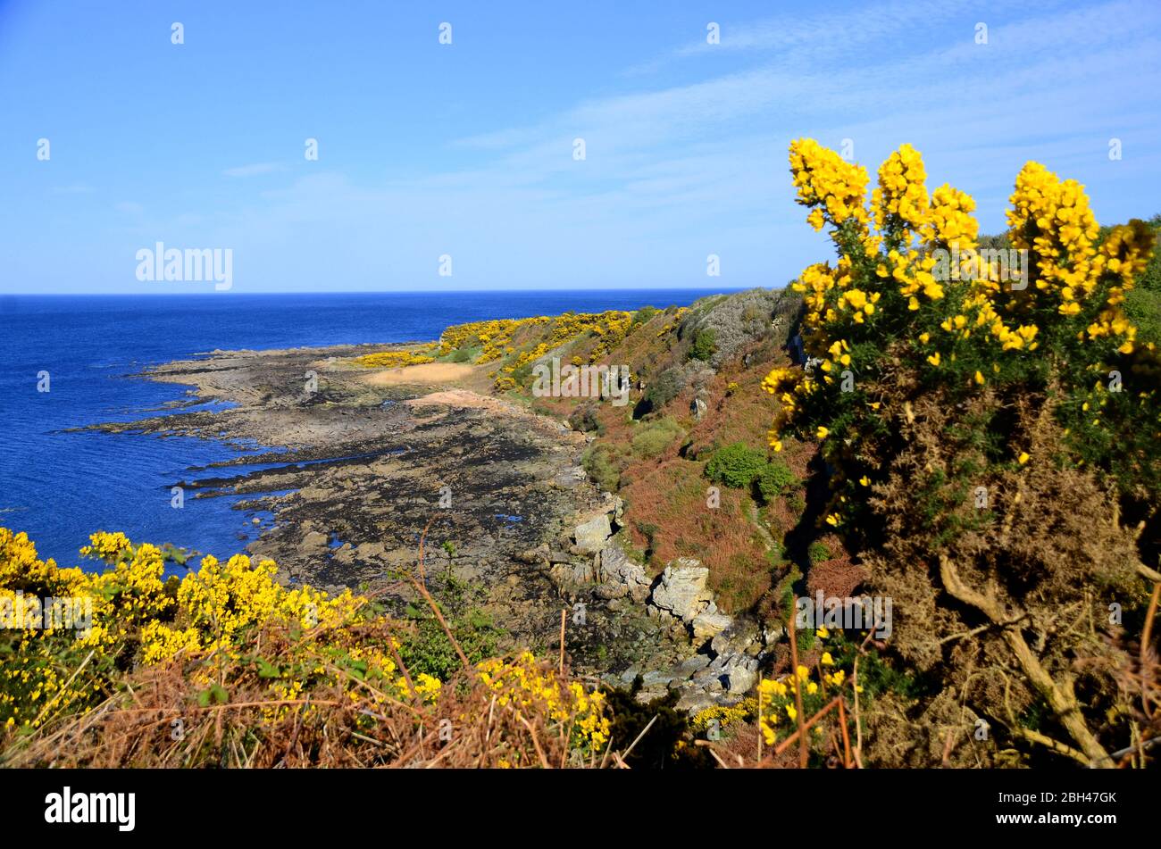 Stsretch des fünf Küstenweges zwischen St. Andrews und Kingsbarn Stockfoto
