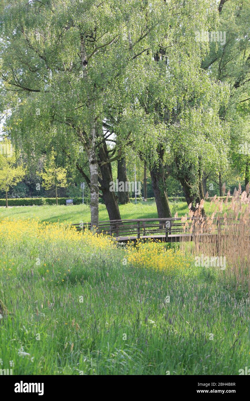 Die Flora und Fauna im Stadtpark Staddijk in Nijmegen, Niederlande Stockfoto