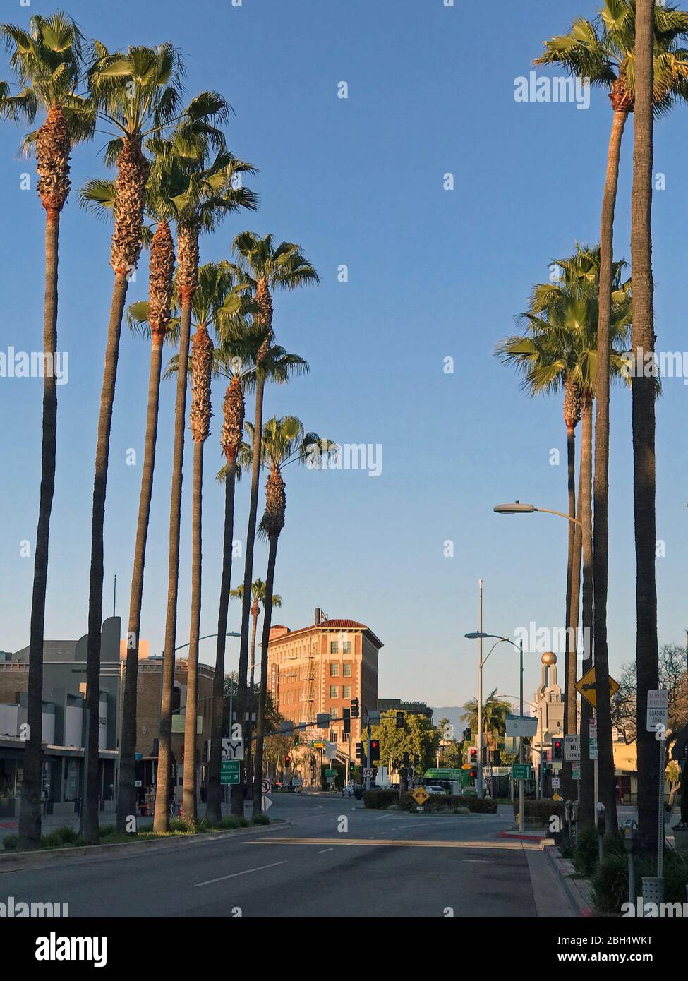 Von Palmen gesäumte Straße und historisches Hotel in Culver City, CA Stockfoto