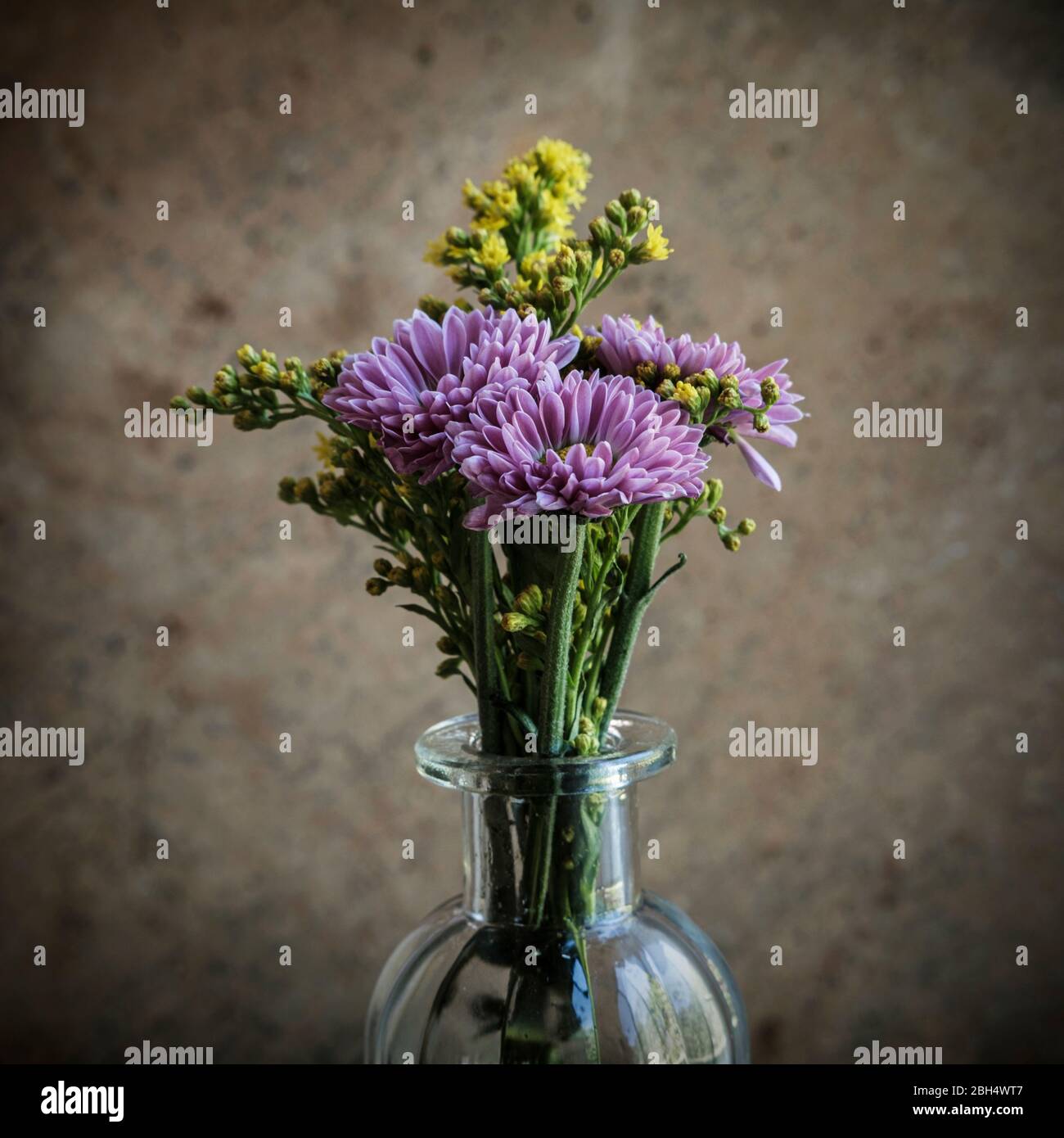 Lila Blumen in vase Stockfoto
