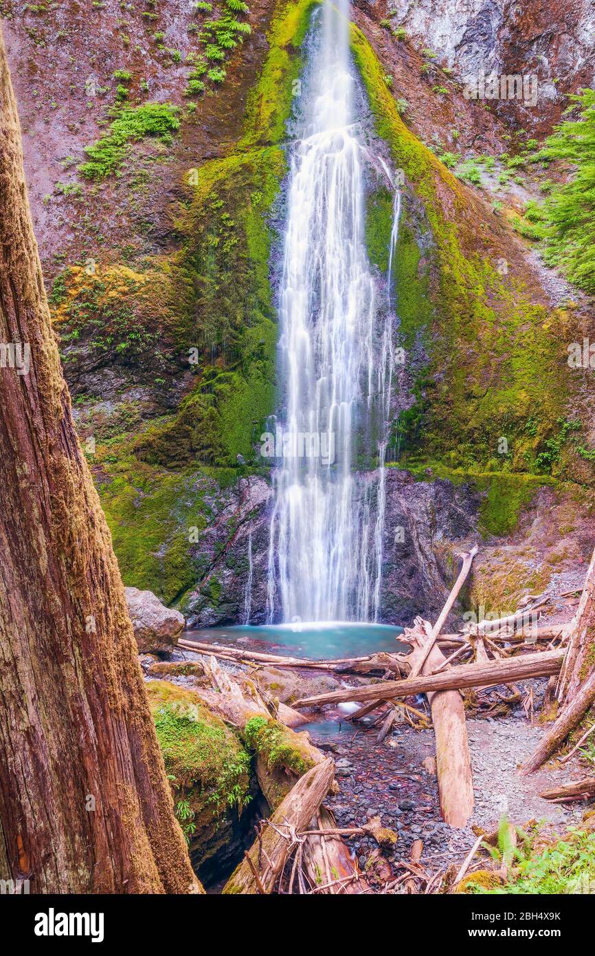 Blick auf die Marymere Falls in der Nähe des Lake Crescent im Olympic National Park. Washington. USA Stockfoto