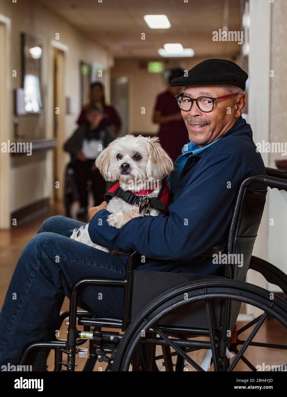 Lächelnder älterer Mann, der Hund im Rollstuhl hält Stockfoto