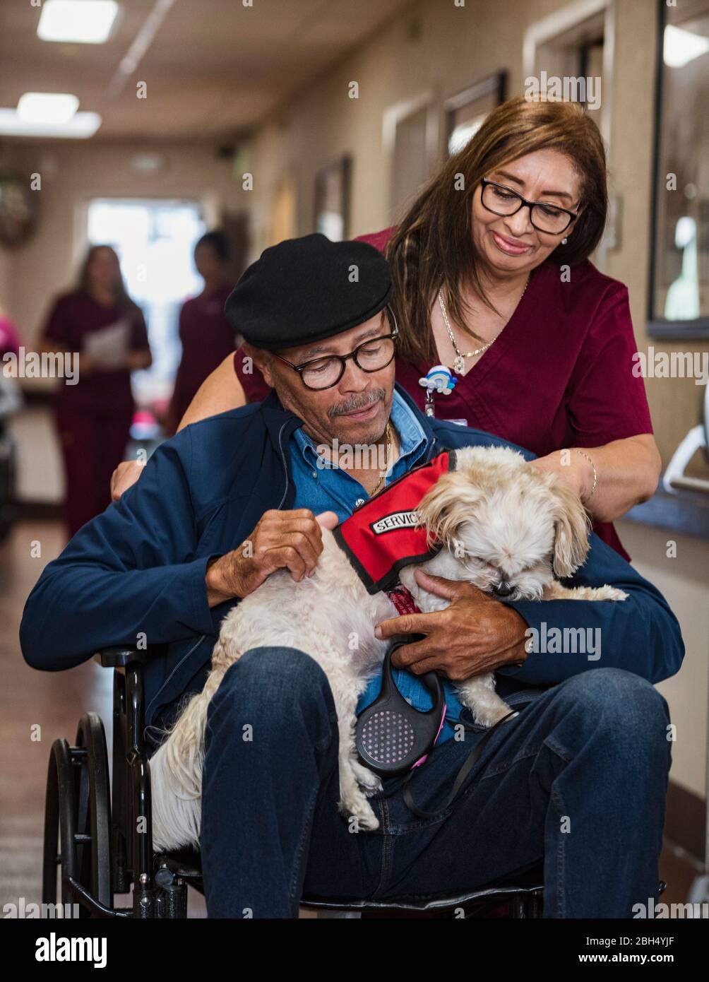 Lächelnde Krankenschwester schiebt älteren Mann hält Hund im Rollstuhl Stockfoto