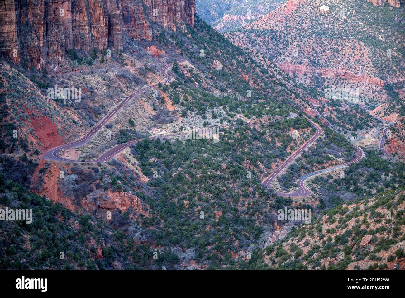 Canyon im Zion National Park in Utah, USA Stockfoto