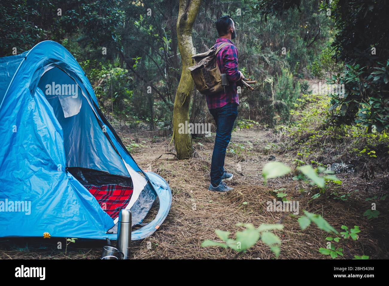 Mann hält Stöcke am Zelt im Wald Stockfoto