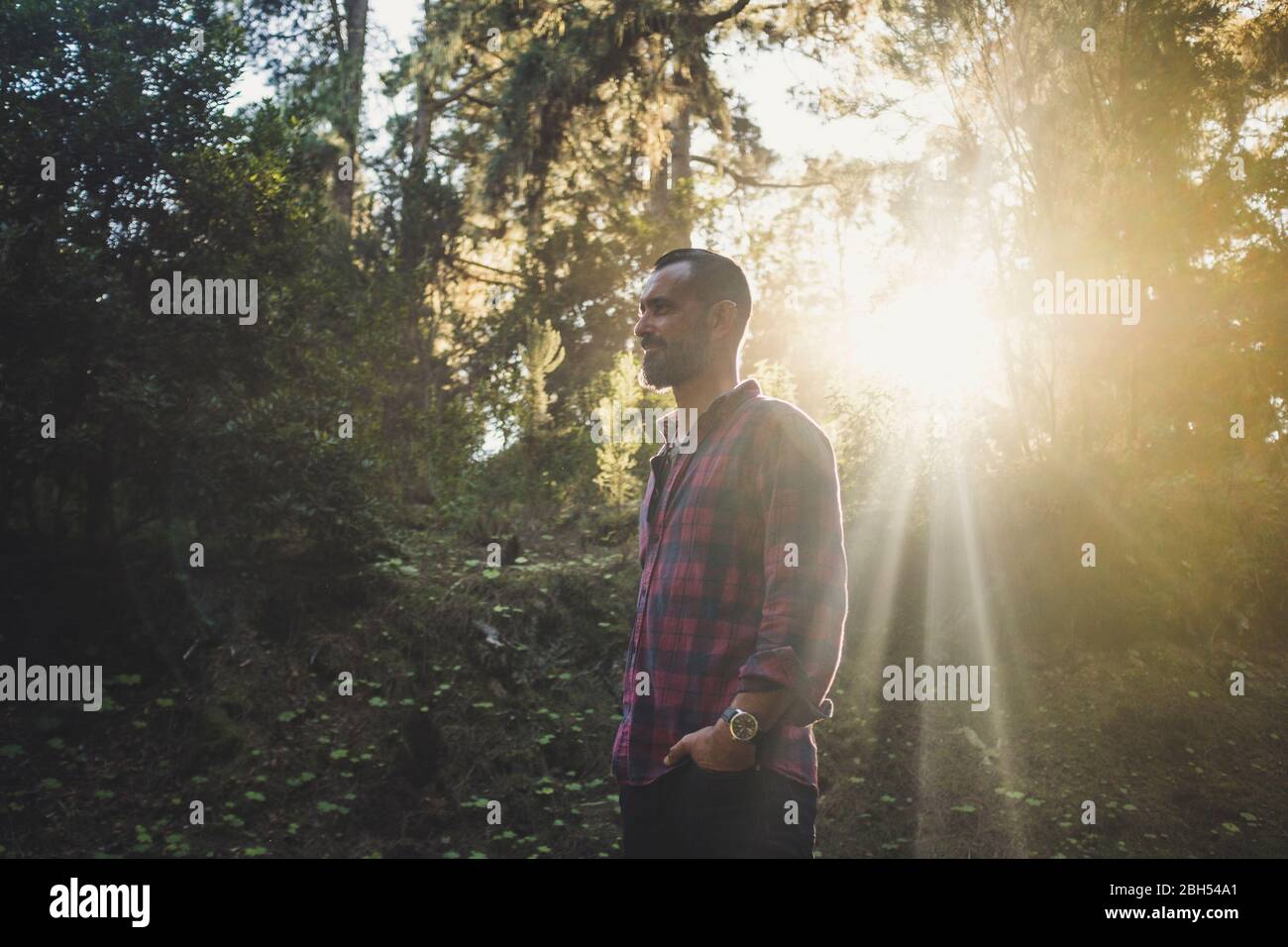 Mann, der im Sonnenlicht im Wald steht Stockfoto