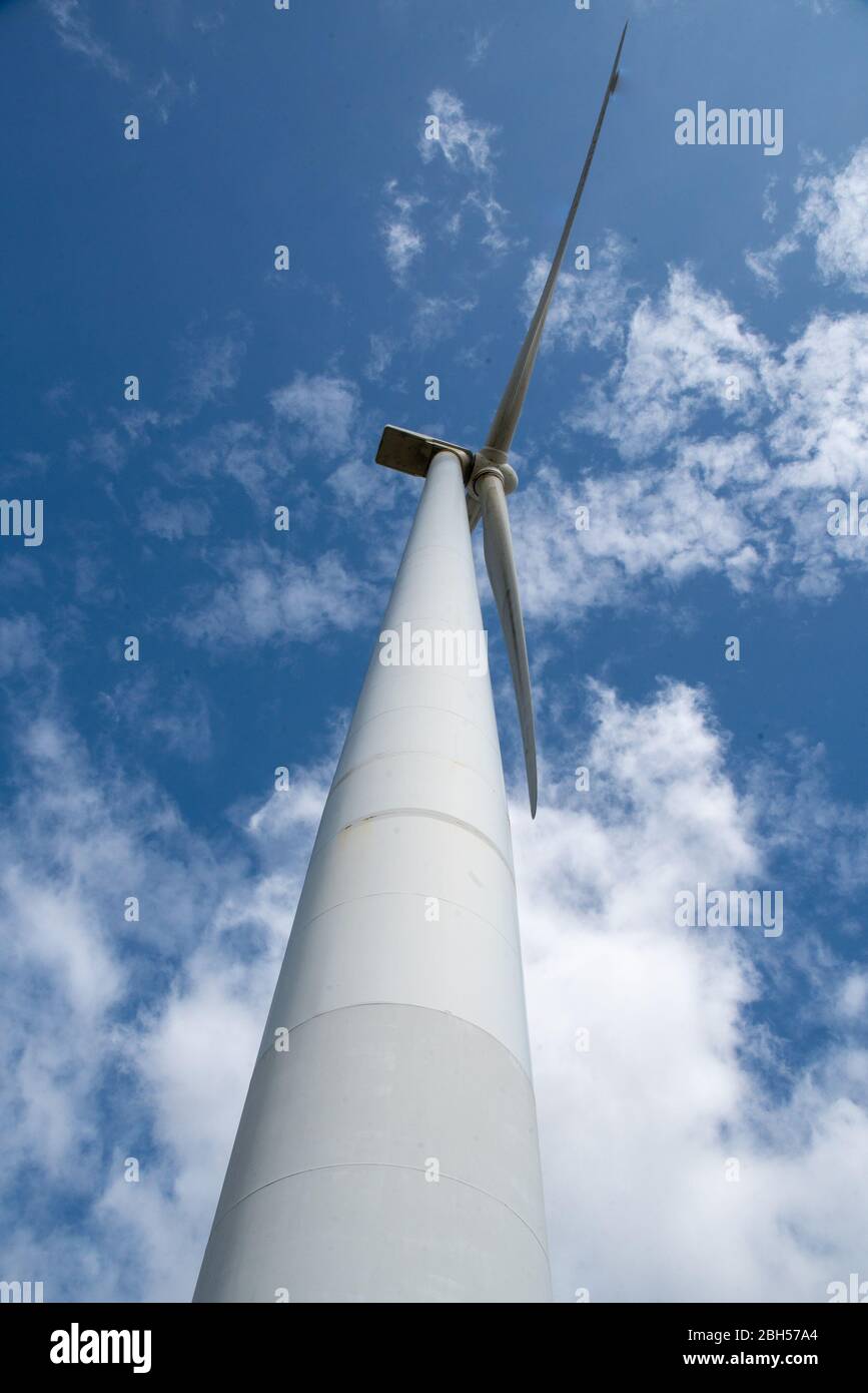 Porträt einer riesigen Strom erzeugenden Windkraftanlage Turm und Blätter in einem Windpark in der Natur durch den Wind angetrieben Stockfoto