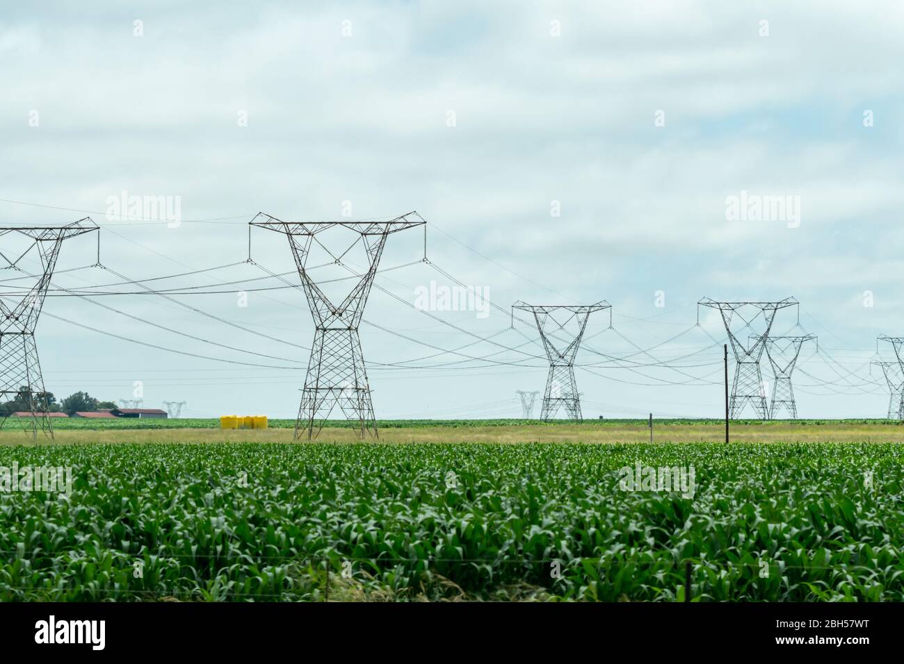 Hochspannungs-Strom oder elektrische Pylone und Kabel in einer landwirtschaftlichen Umgebung oder landwirtschaftlichen Bereich in Südafrika Konzept Energie in Afrika Stockfoto