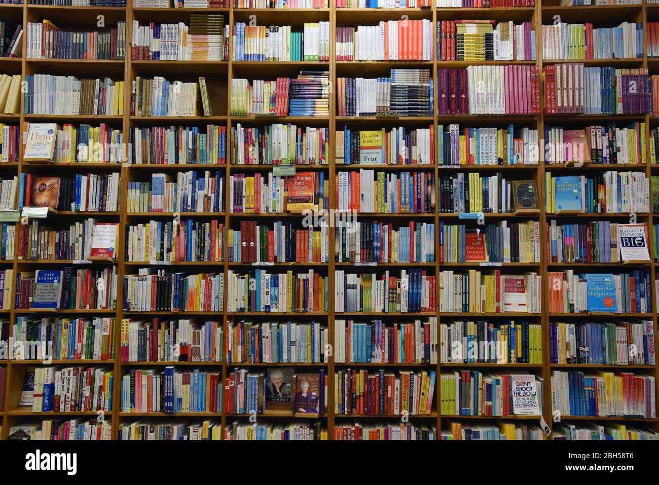 Eine Wand aus Bücherregalen gefüllt mit Büchern, gebraucht und neu, in Russell Books Buchladen in Victoria, British Columbia, Kanada. Stockfoto