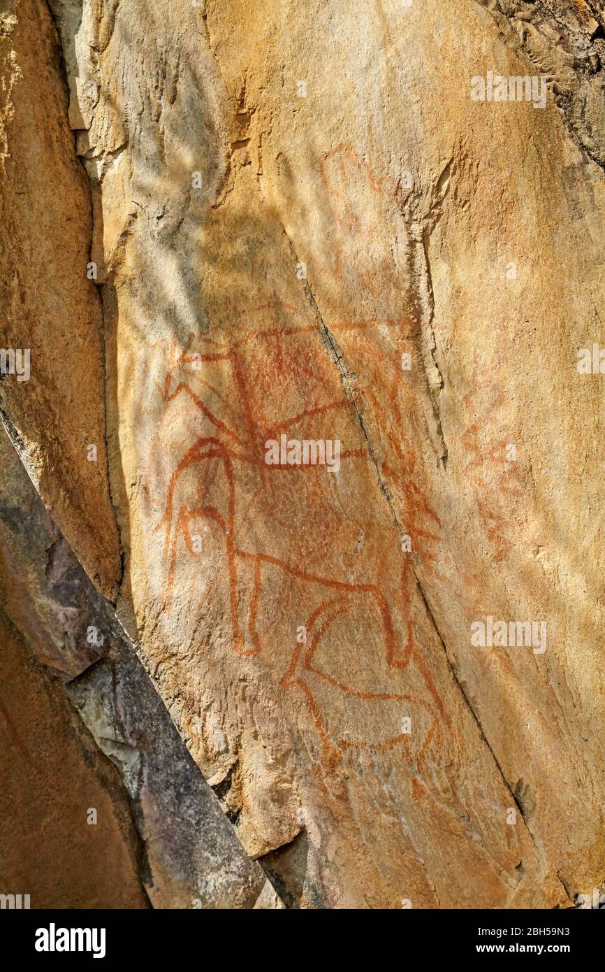 Historische Felsmalereien, Bushman Painting Hill, Savuti Region, Chobe National Park, Botswana, Afrika Stockfoto