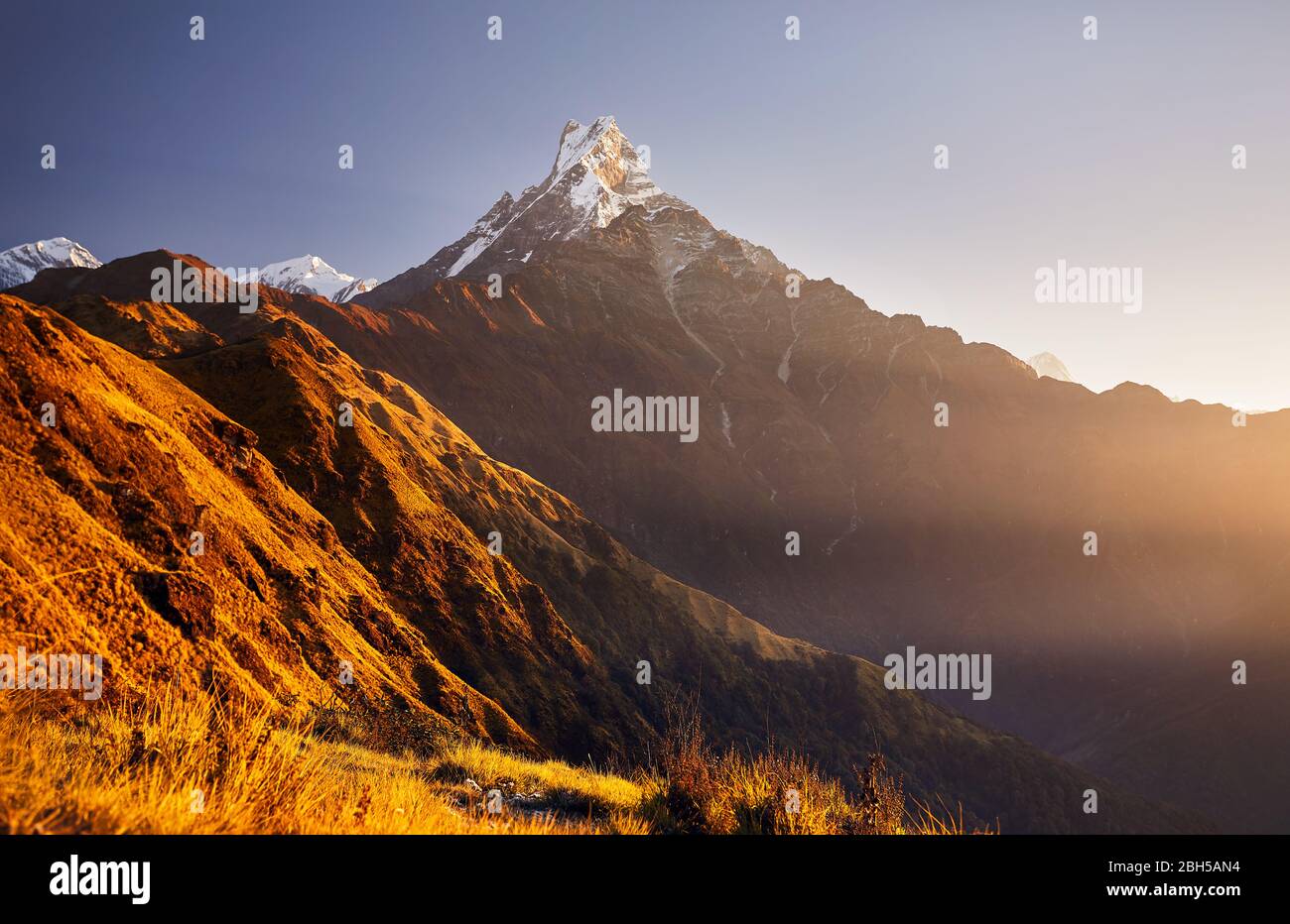 Schöne Landschaft des Himalaya Mountain Fishtail Matschaputschare bei Sonnenaufgang, Nepal Stockfoto