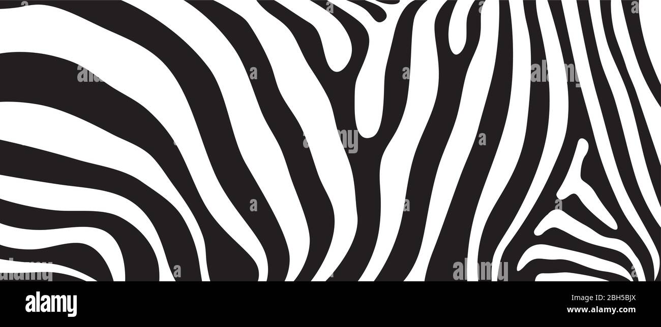 Abstrakt Vektor Textur Hintergrund-Design inspiriert von afrikanischen Safari Tier Muster Zebra gestreiften Haut Print Stock Vektor