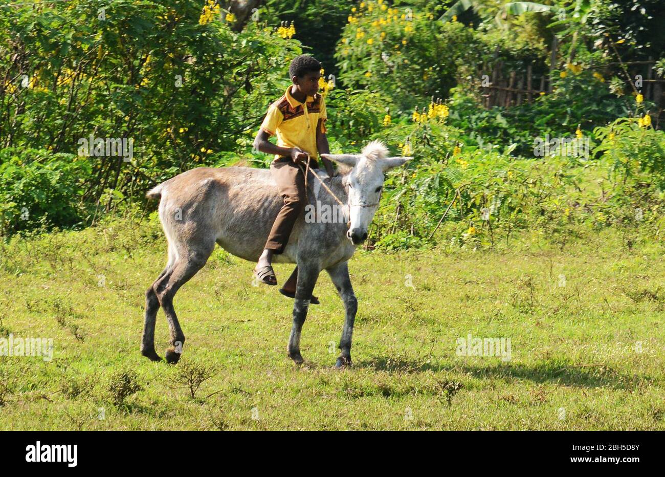 Ein äthiopischer Junge, der in der Region Kaffa in Äthiopien auf seinem Pferd reitet. Stockfoto