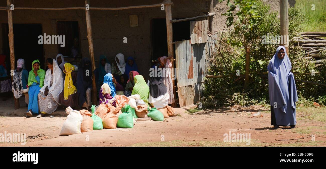 Äthiopische Muslimin in der Region Südormia. Stockfoto