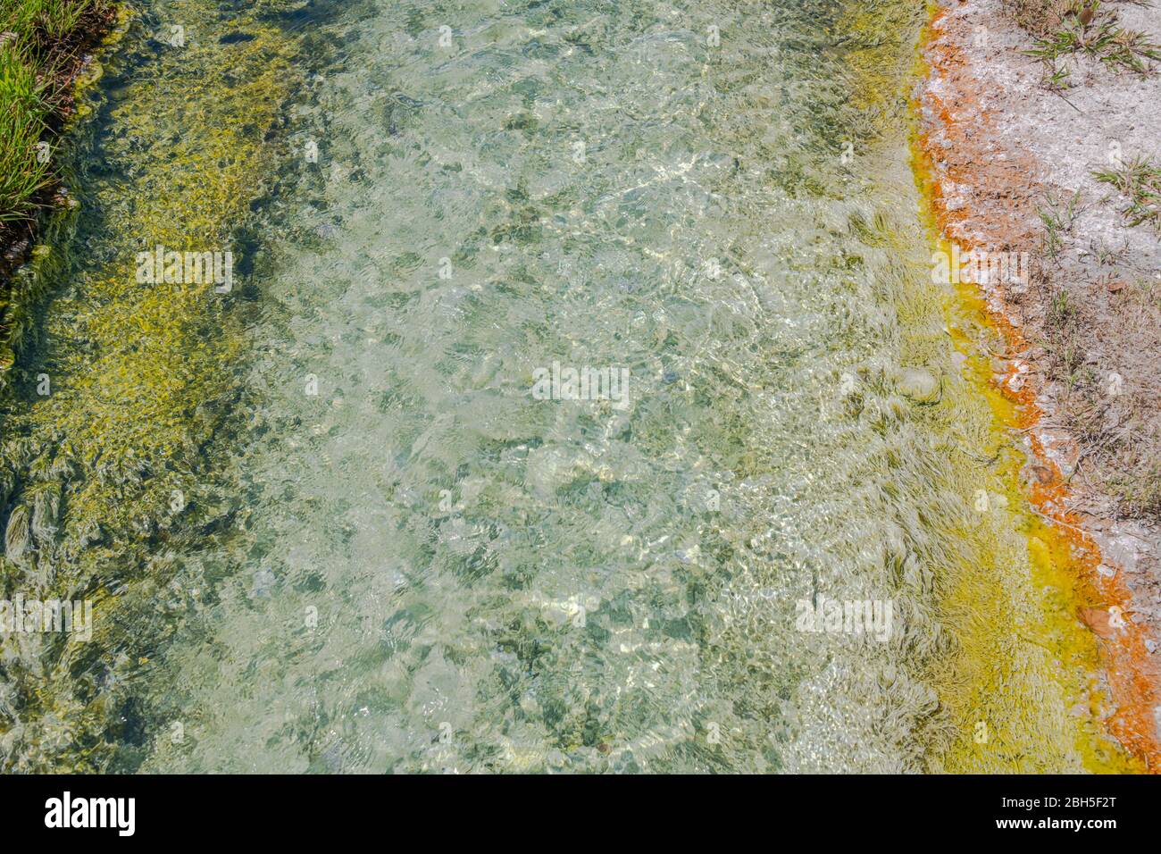 Abstrakte bunte Mineral-beladene heiße Wasserquelle Detail Stockfoto