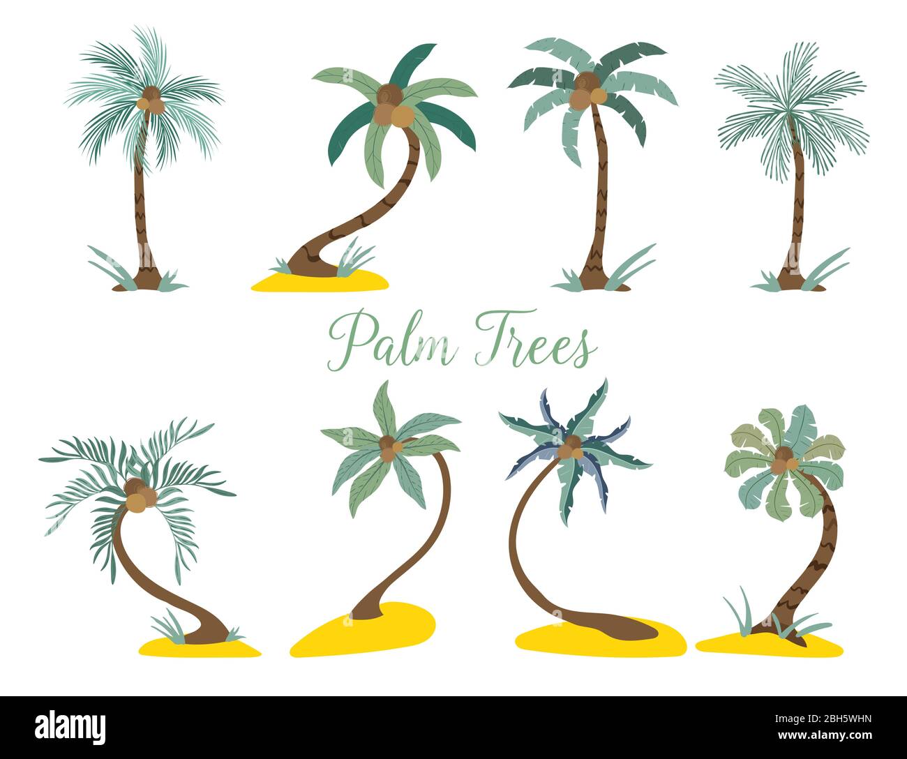 Verschiedene Arten von Palmen am Strand. Vektorgrafik isoliert auf weiß. Stock Vektor