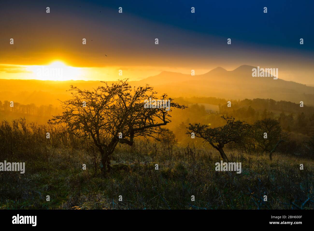 Die Sonne geht über die Eildon von Scott's View aus und blickt über das Tweed Valley Stockfoto