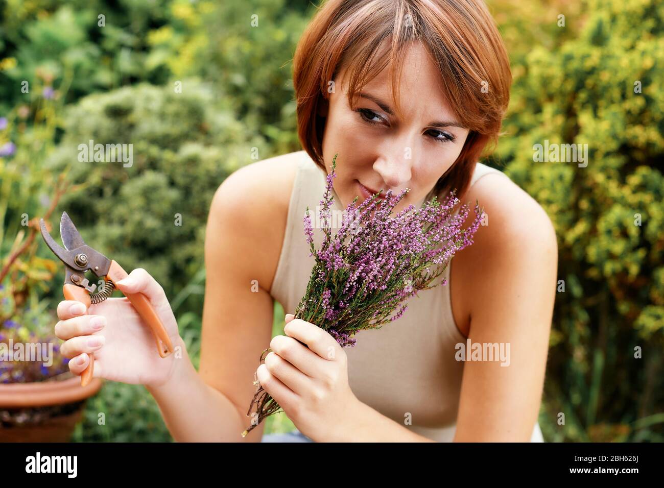 Attraktive Frau Schneiden Lavendel Pflanze Stockfoto