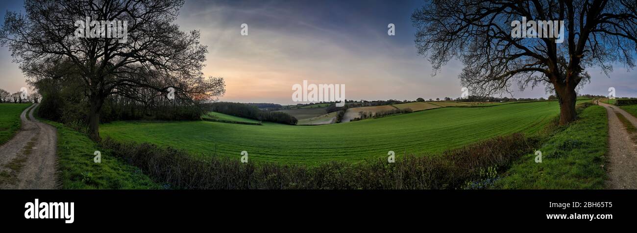 Panoramablick auf die Landschaft mit Blick auf Felder bei Sonnenuntergang in den Chilterns, England Stockfoto