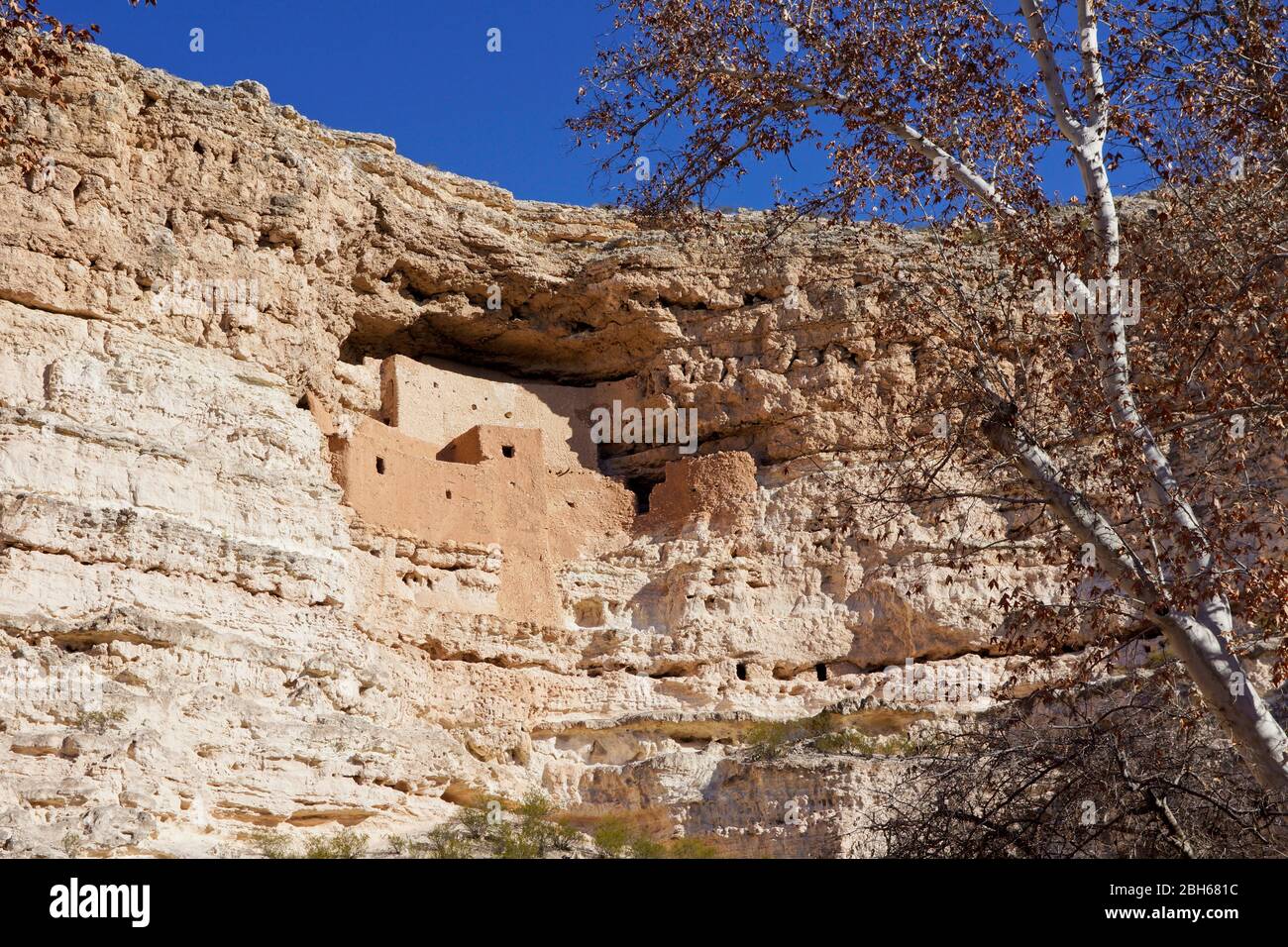 Montezuma Castle National Monument in Arizona USA - Klippenbehausung Ruinen der Sinagua Menschen aus dem 12. Jahrhundert Stockfoto