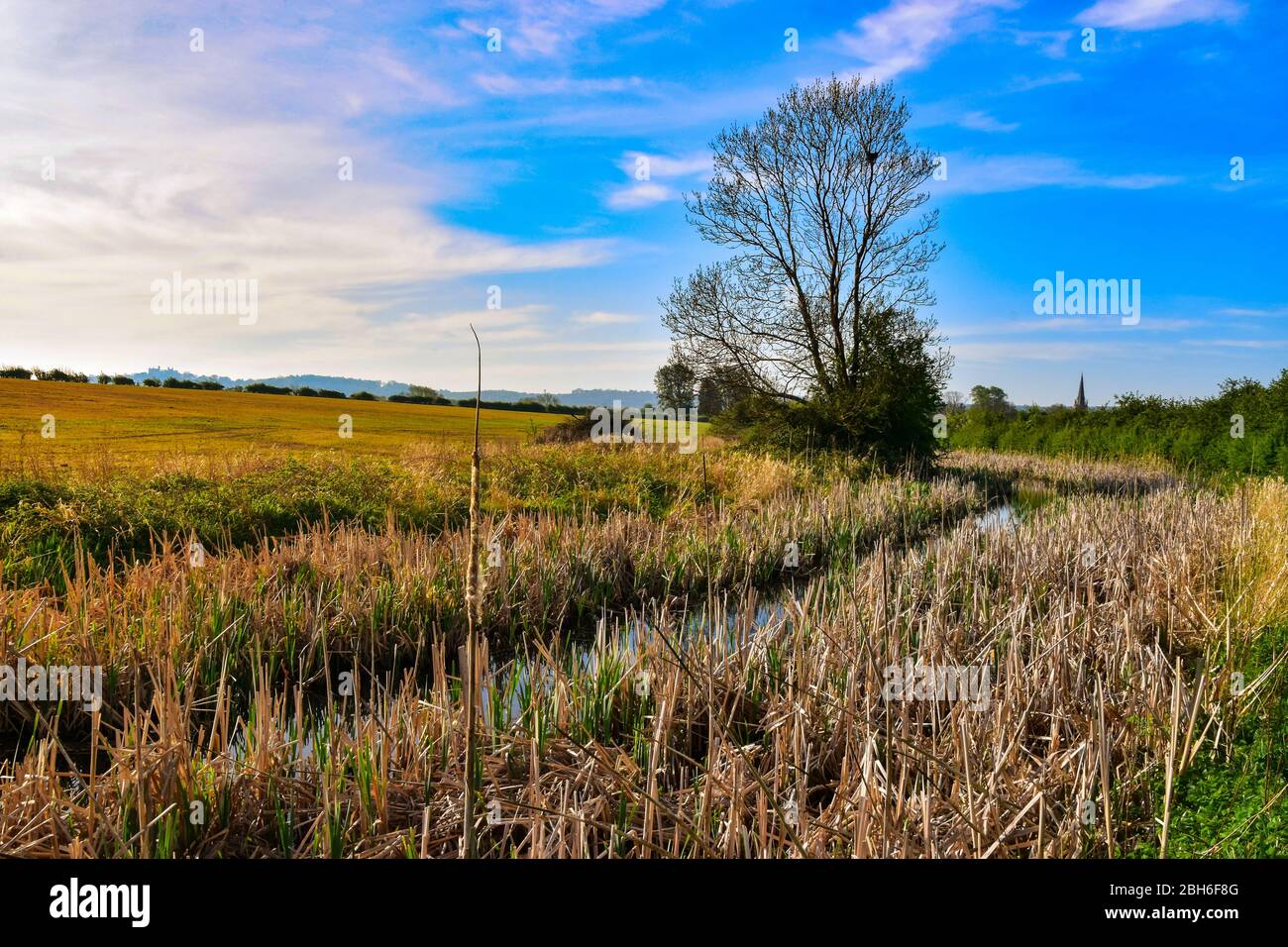 Grantham Canal, Redmile, Vale of Belvoir Stockfoto