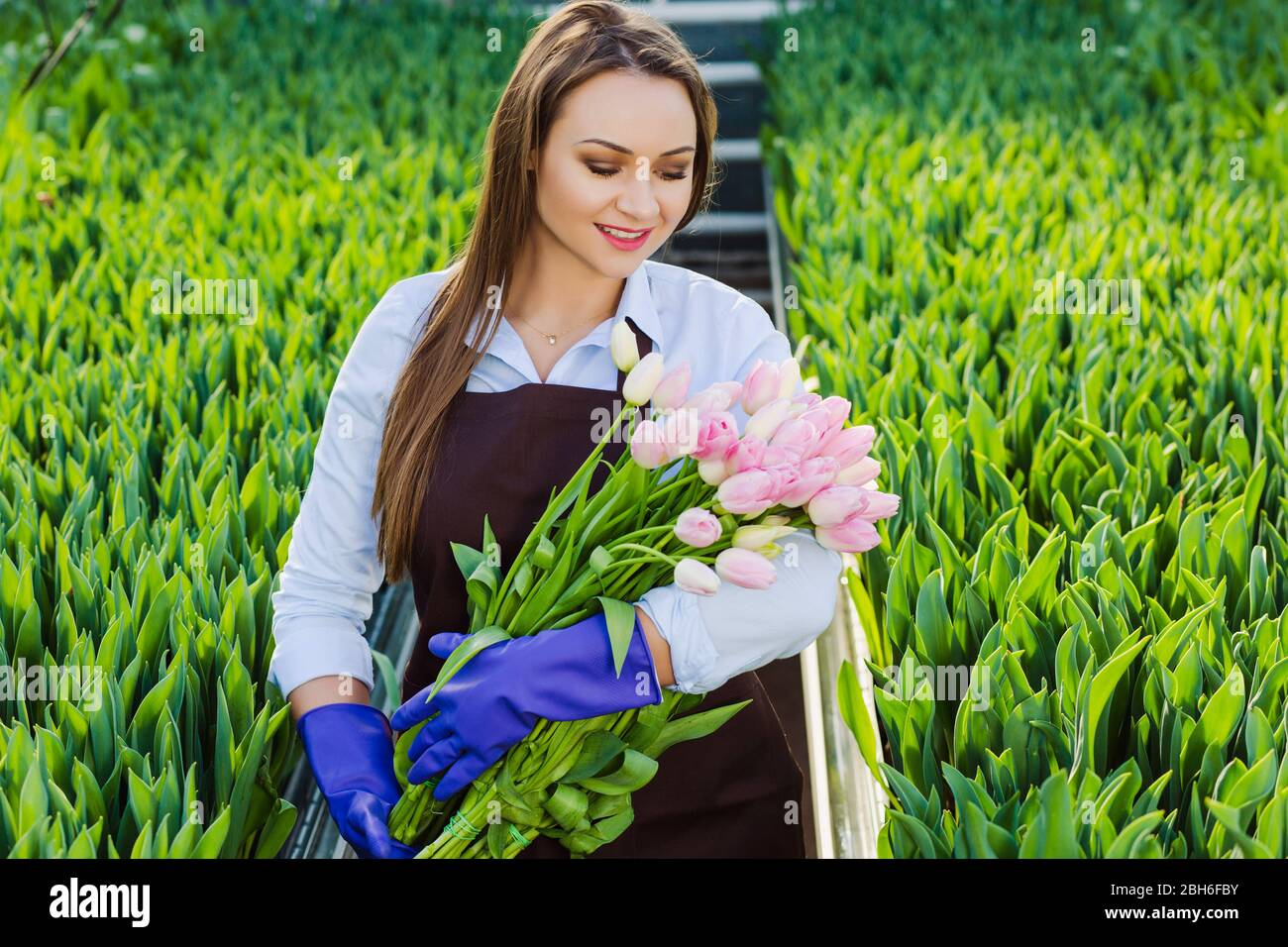 Schöne junge Frau mit einem perfekten Lächeln, hält einen großen Strauß Tulpen, Blick auf die Blumen, in einem Gewächshaus stehen Stockfoto