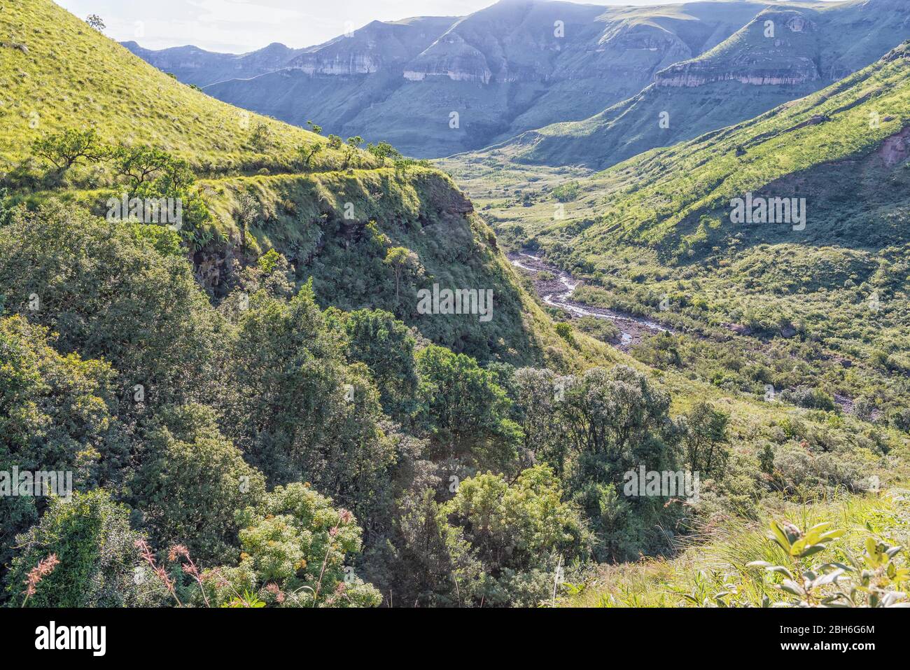 Blick vom Wanderweg Tugela Gorge Richtung Norden. Der Tugela-Fluss und der Wanderweg sind sichtbar Stockfoto