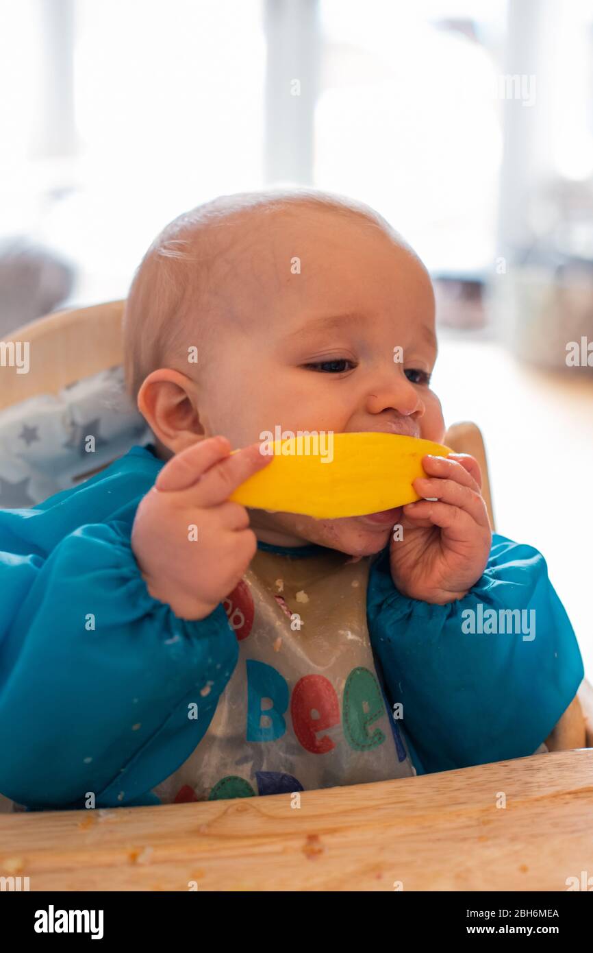 Niedliches Baby, das aus dem Hochstuhl isst Stockfoto