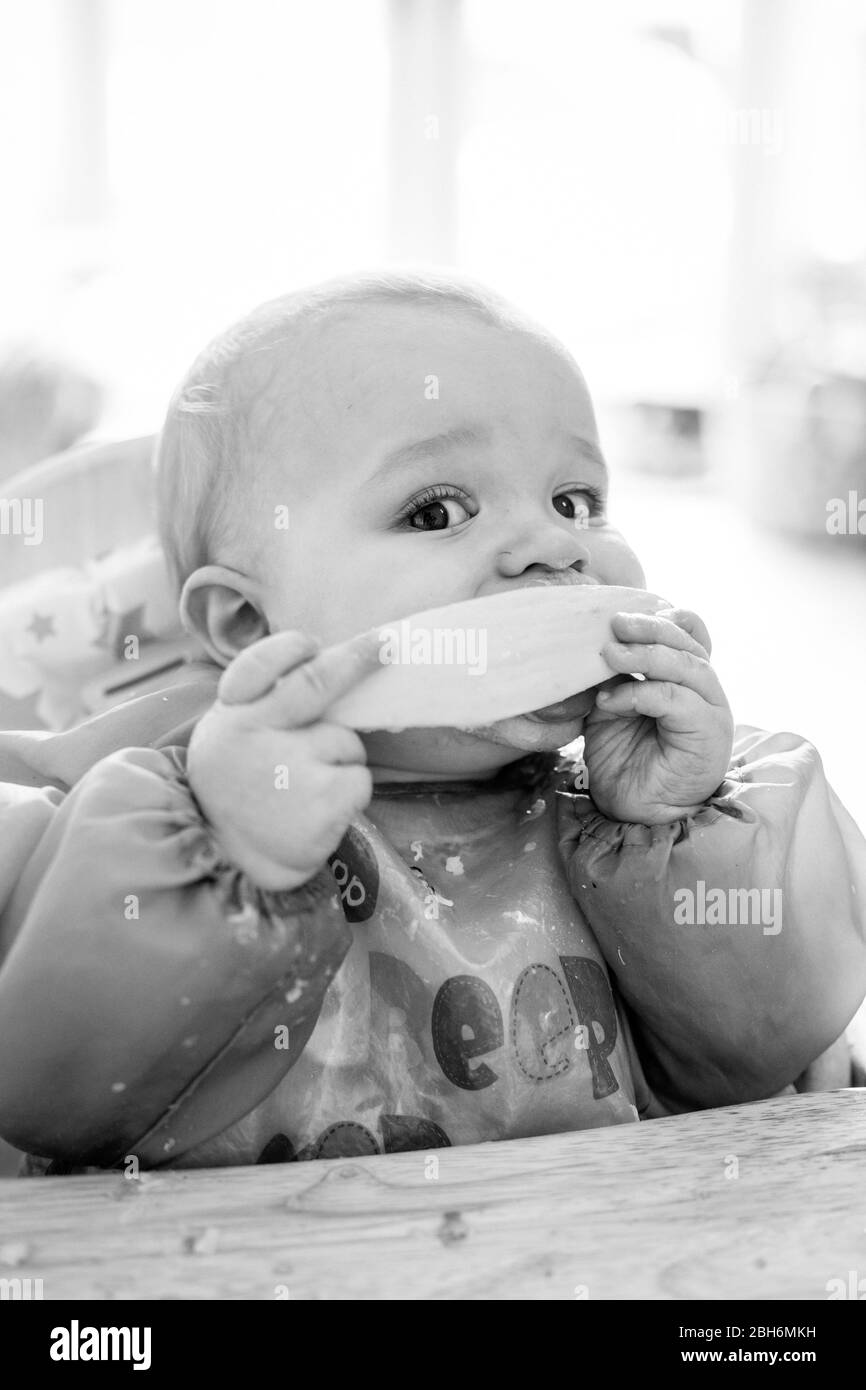 Niedliches Baby, das aus dem Hochstuhl isst Stockfoto