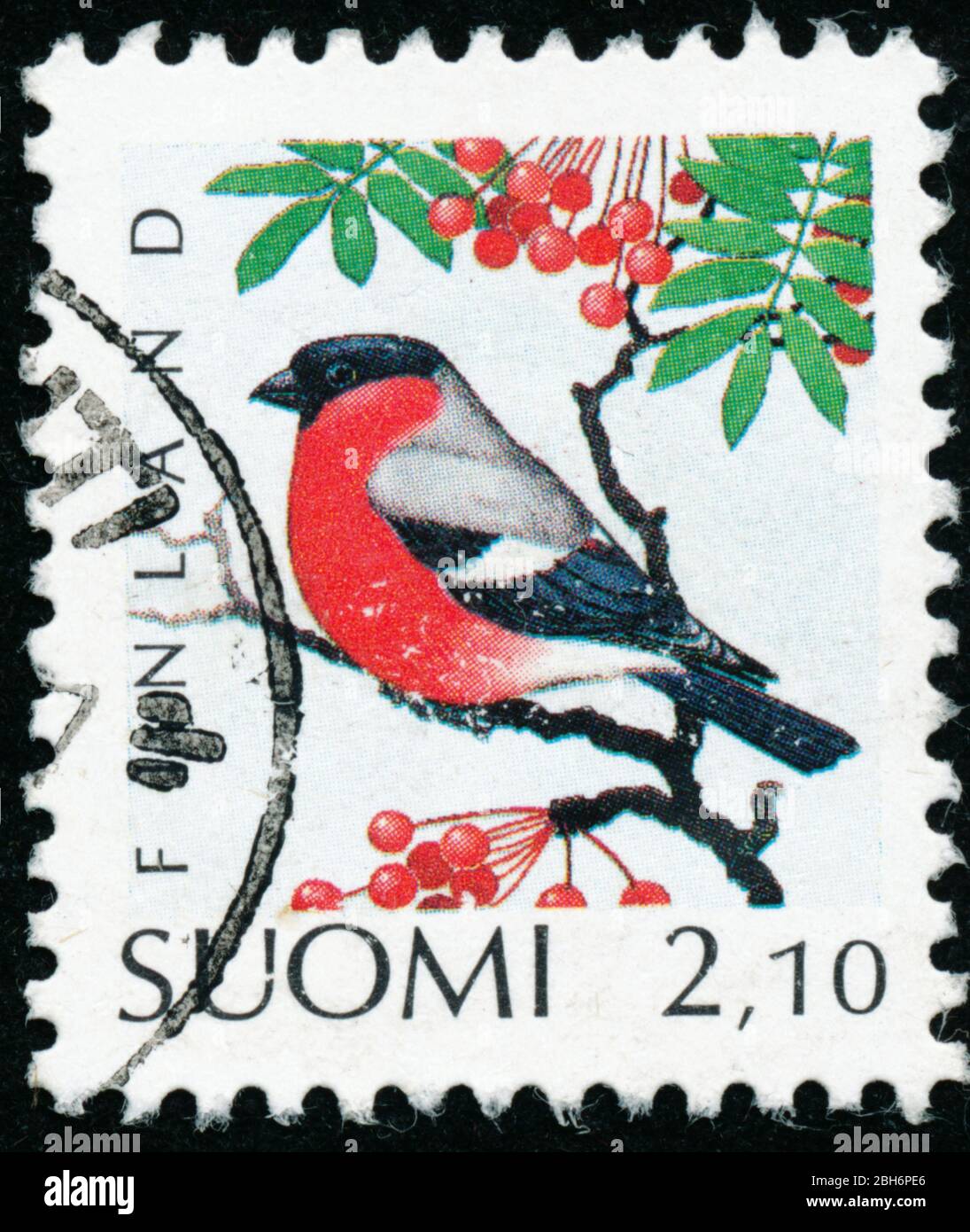 POLTAVA, UKRAINE - 24. April 2020. Vintage Stempel gedruckt in Finnland um 1991 zeigen Vögel Stockfoto