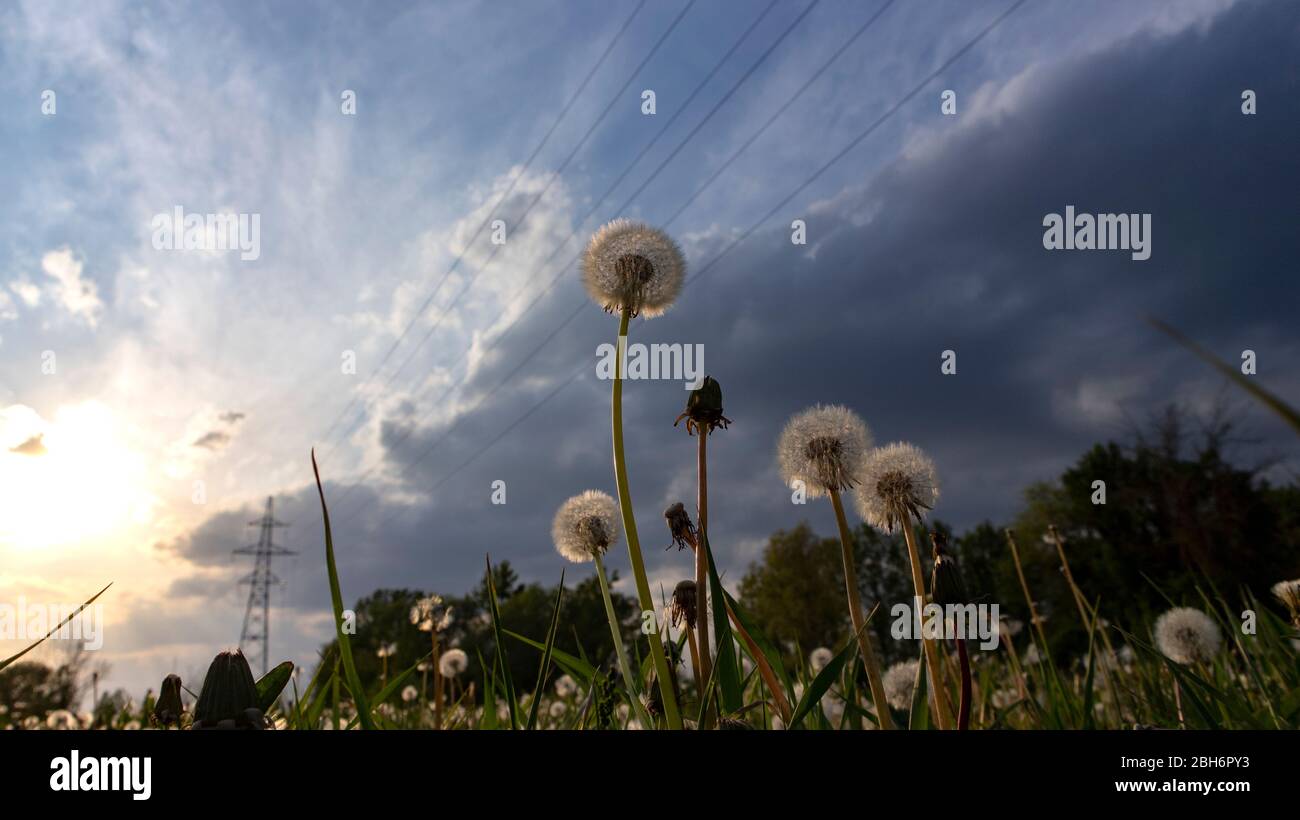Uber Kopf Stromleitung Stockfotos Und Bilder Kaufen Alamy