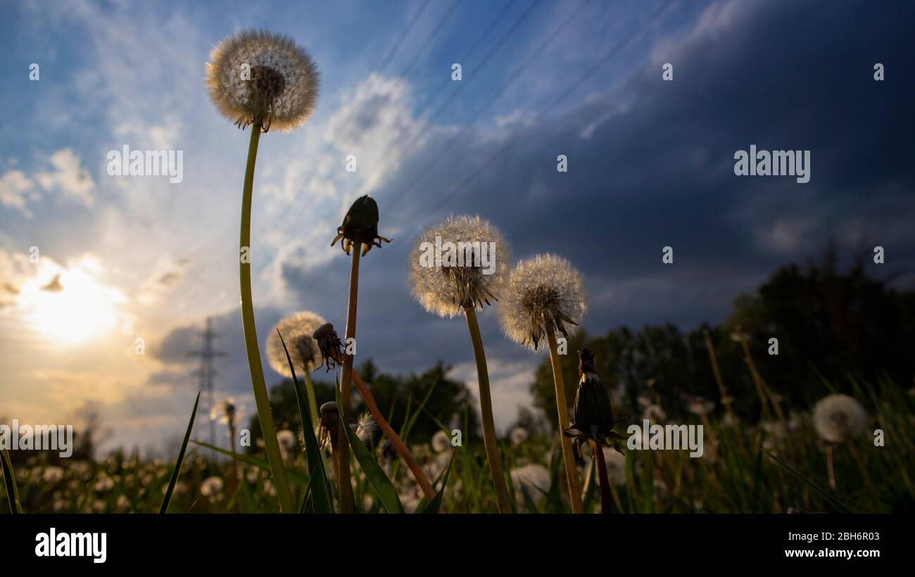 Uber Kopf Stromleitung Stockfotos Und Bilder Kaufen Alamy