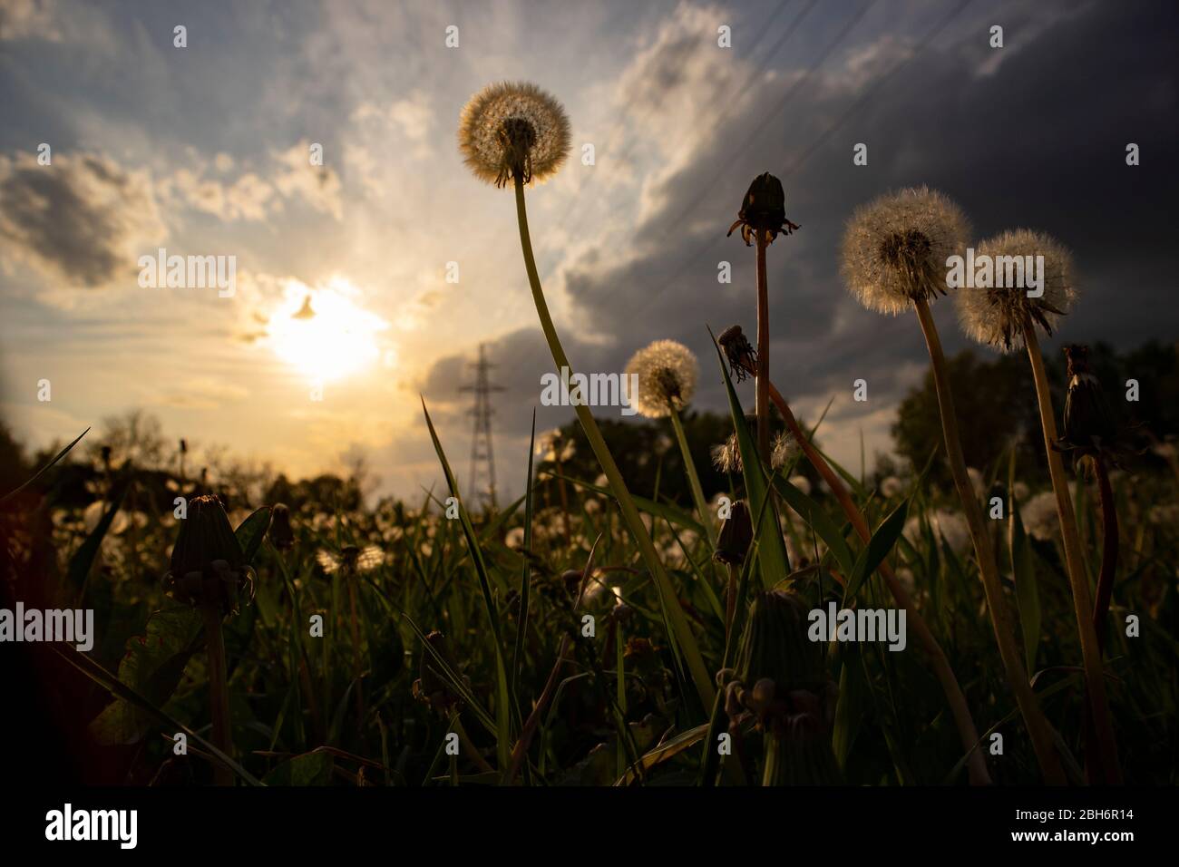 Uber Kopf Stromleitung Stockfotos Und Bilder Kaufen Alamy