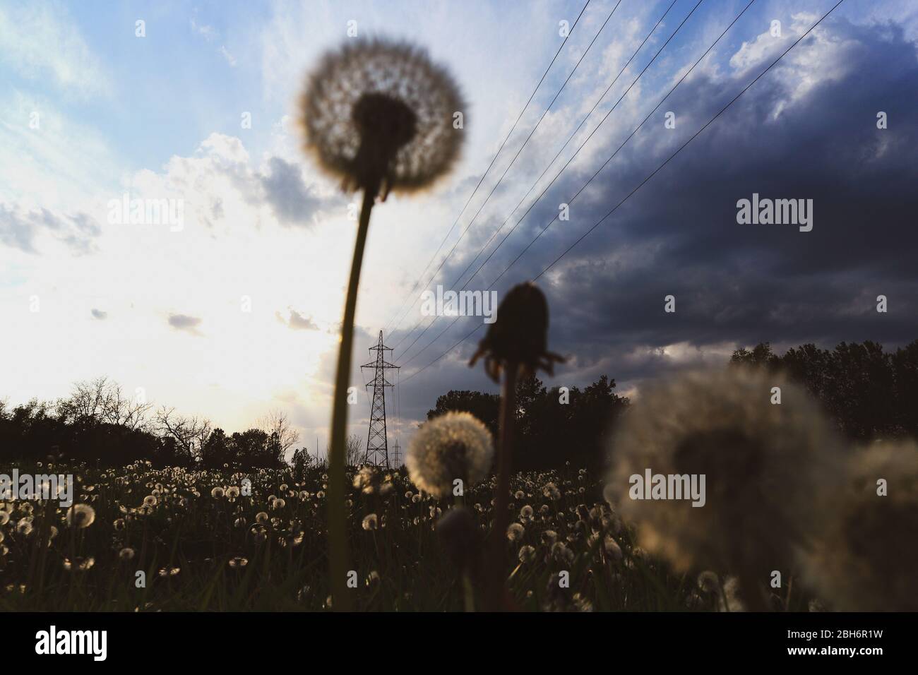 Uber Kopf Stromleitung Stockfotos Und Bilder Kaufen Alamy